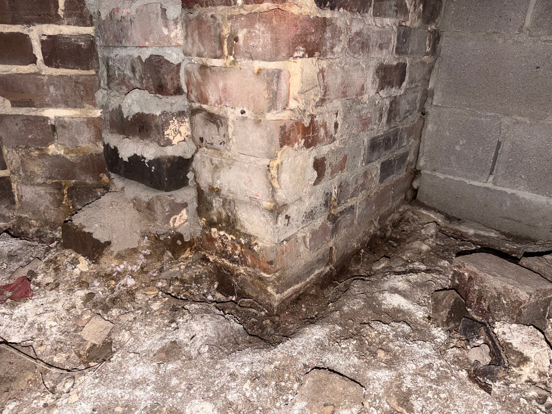Gallery photos for Inspections Uncover Crawl Space Issues in AL and FL: Image #7