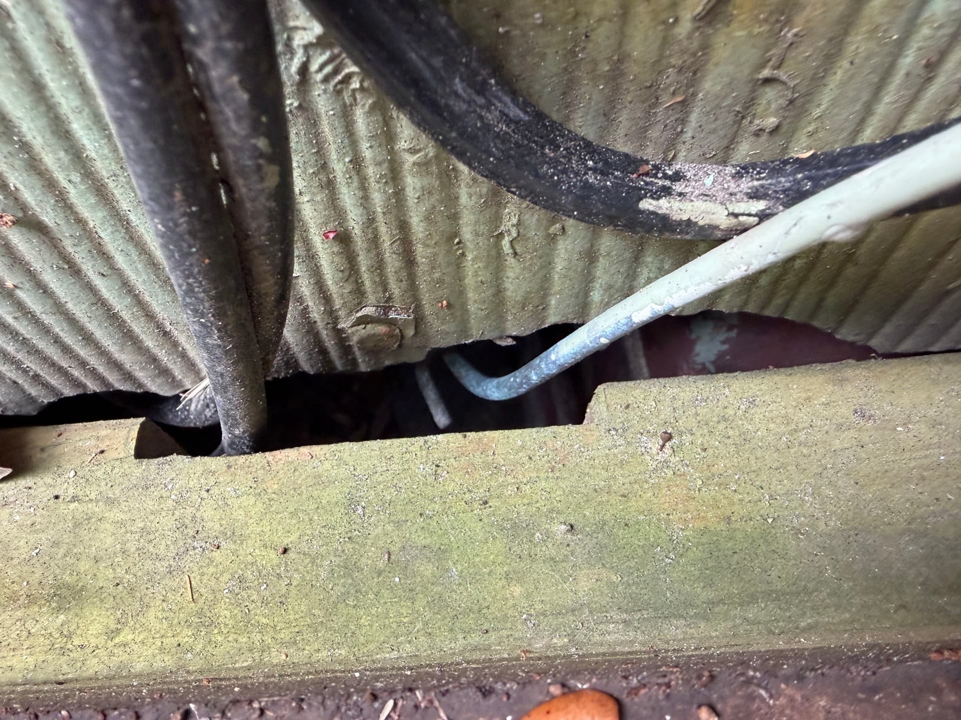 Gallery photos for A Pensacola Crawlspace Encapsulation Done Wrong - Here's the Damage: Image #8