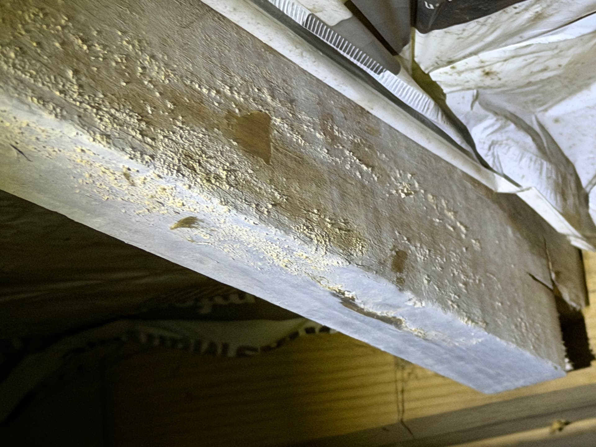 Gallery photos for Crawl Space Assessments Across Tallahassee and Milton: Image #5