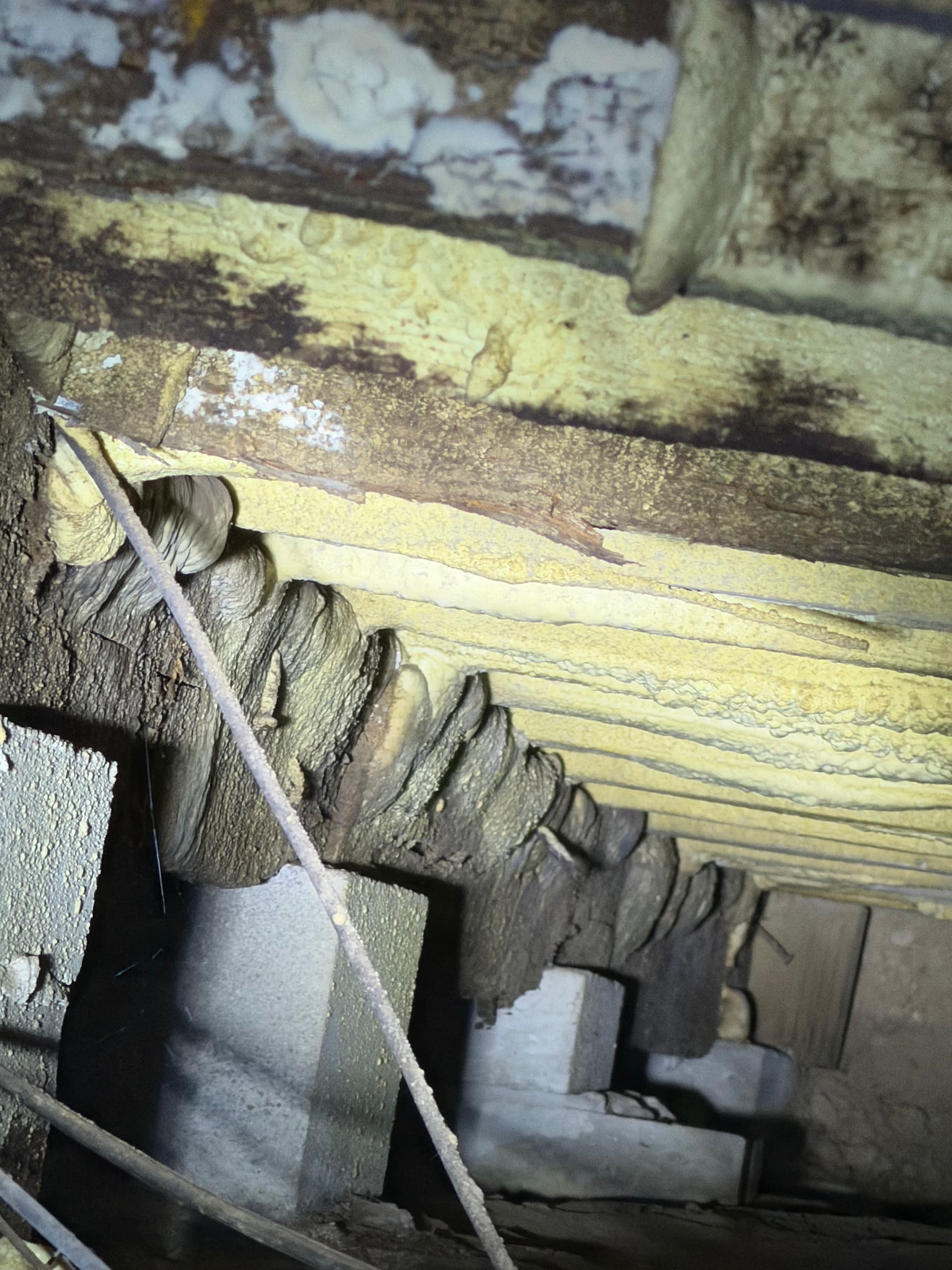 The Dangers of Improper Crawl Space Insulation