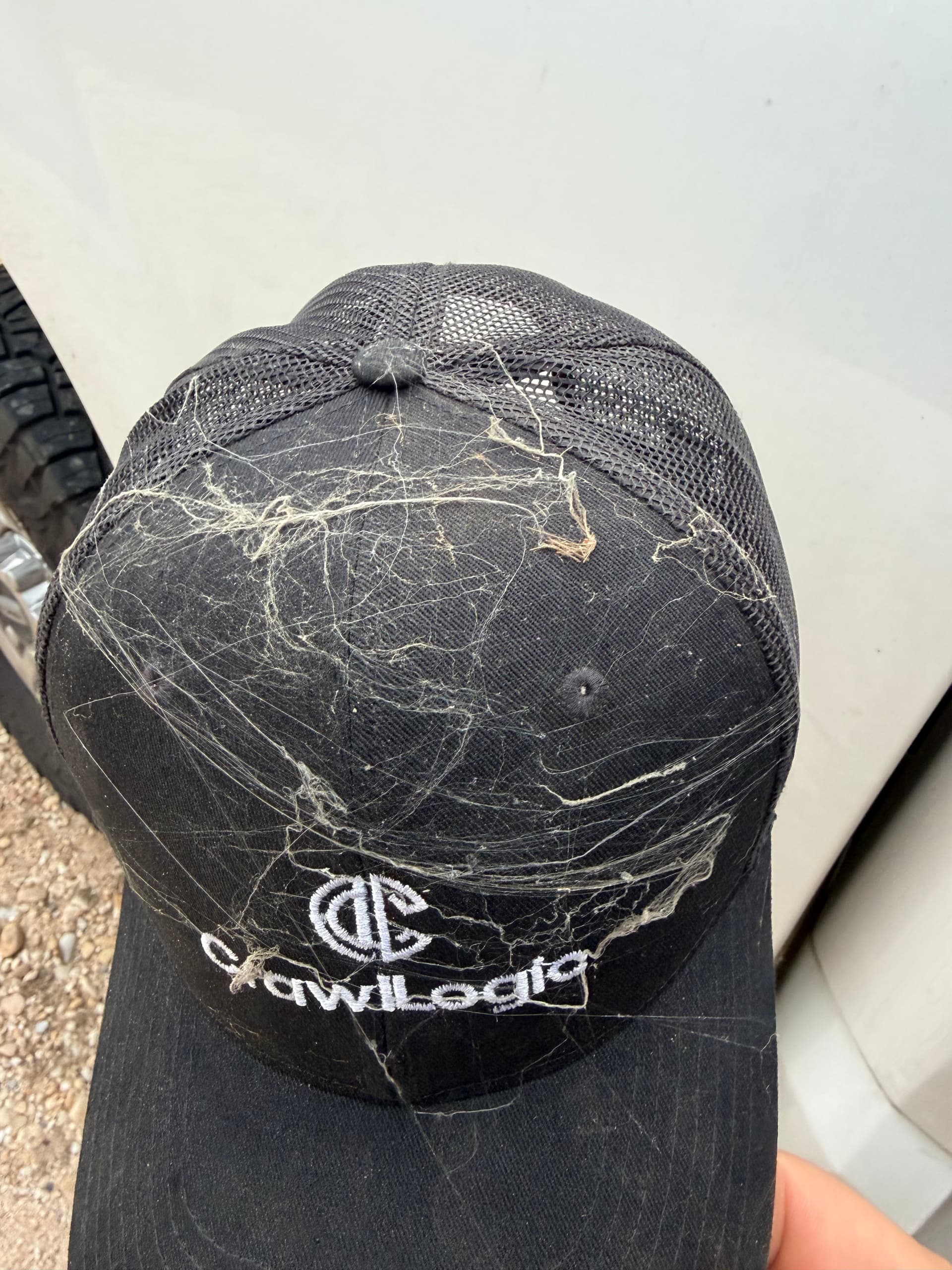 What's Actually Living Under Your Home's Crawl Space image