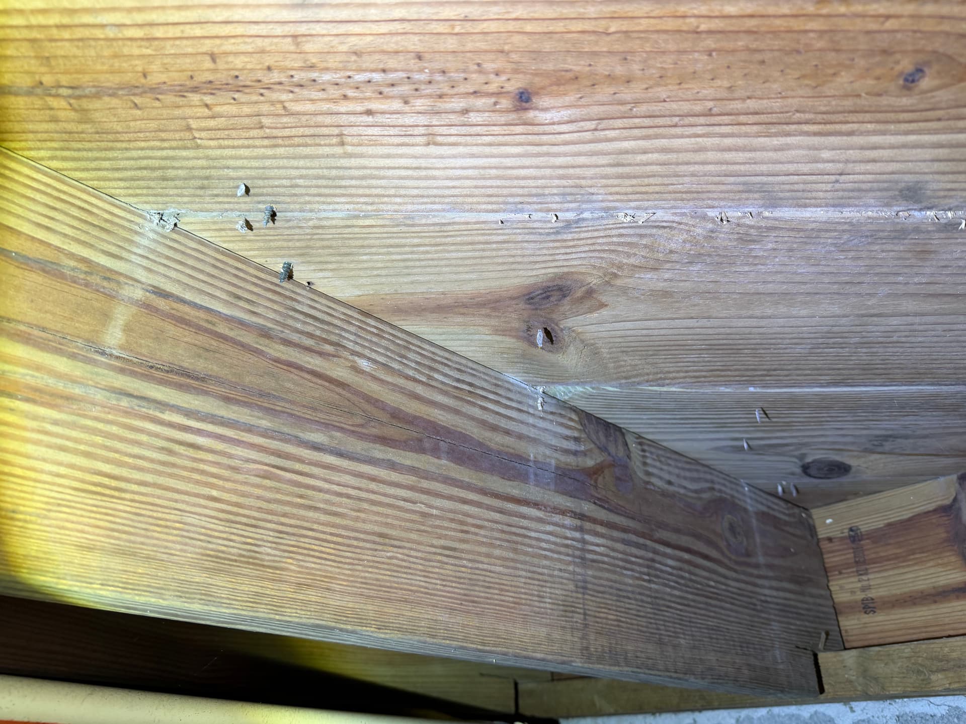 Crawl Space Inspection Finds Moisture and Fungus in West Pensacola image