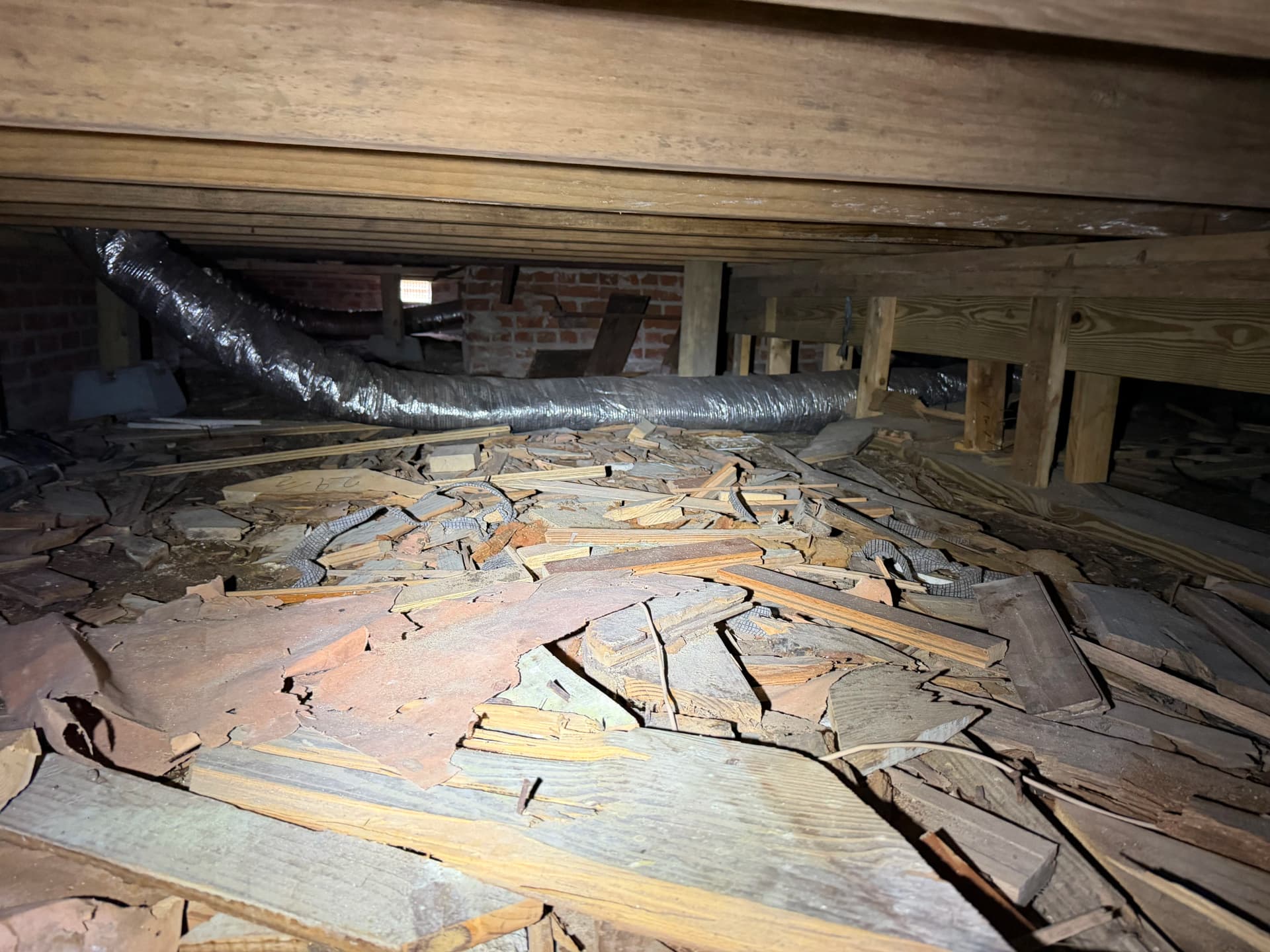 What's Really Hiding Under Your Home's Floor image