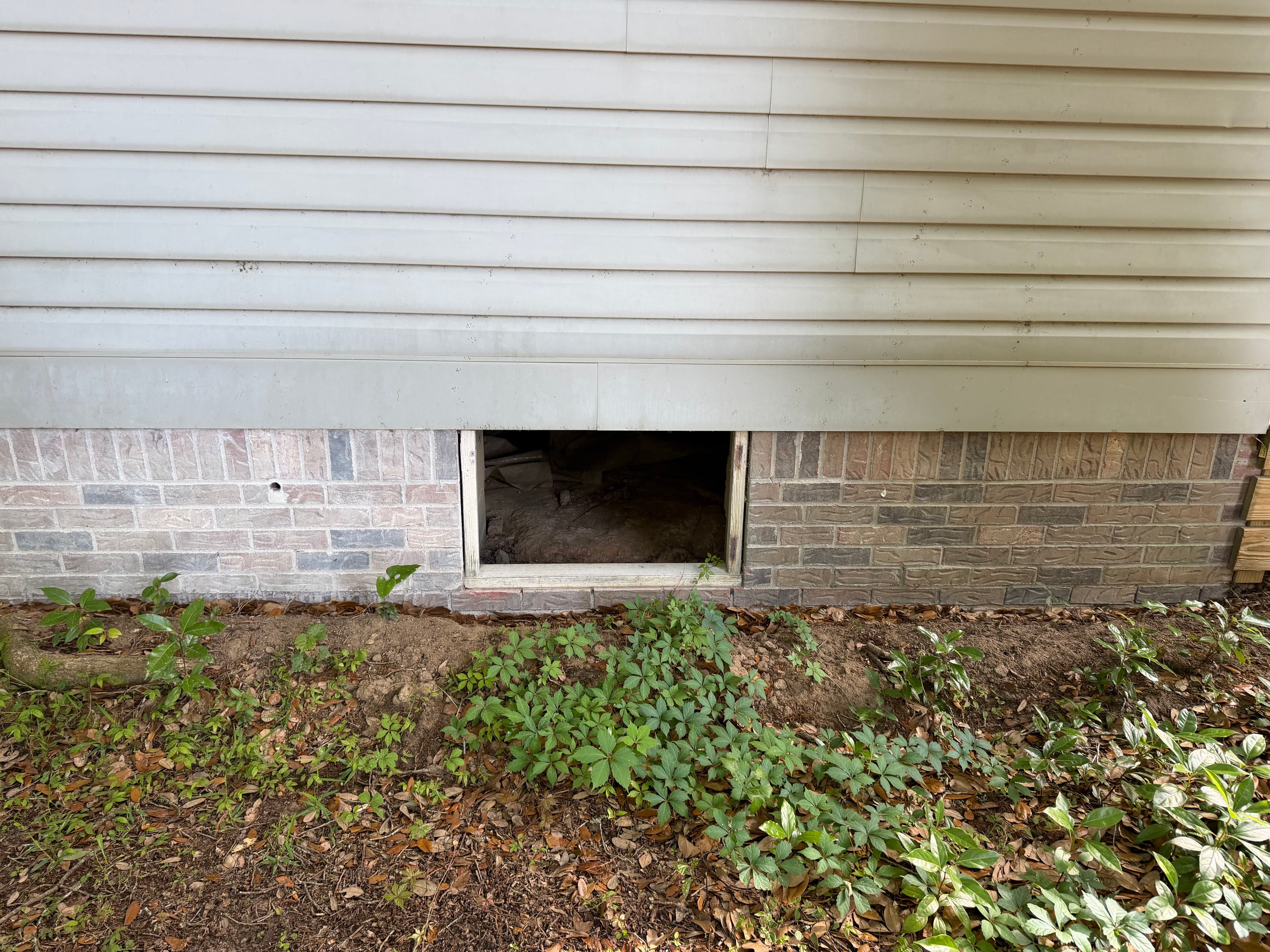 Project What a Crawl Space Inspection Found Under a Daphne Home image