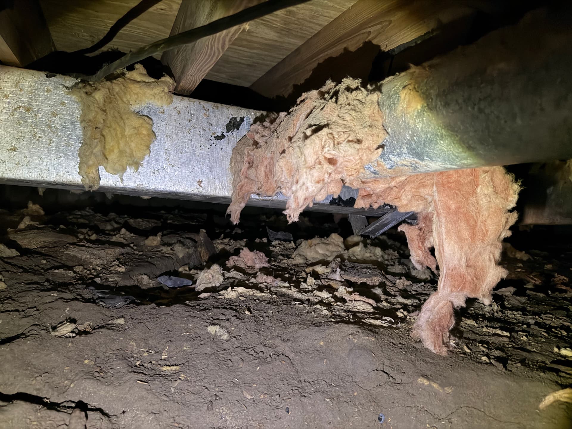 Gallery photos for What a Crawl Space Inspection Found in Monroeville and Loxley: Image #2
