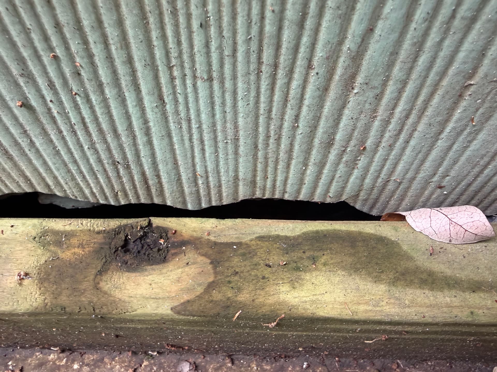 Gallery photos for A Pensacola Crawlspace Encapsulation Done Wrong - Here's the Damage: Image #7