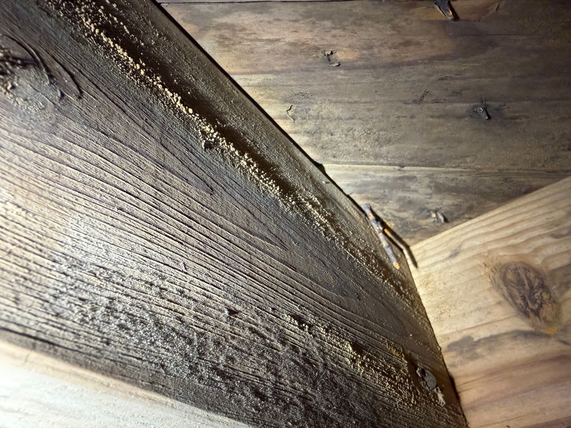 Gallery photos for Milton Home Crawl Space Inspection and Repair: Image #3