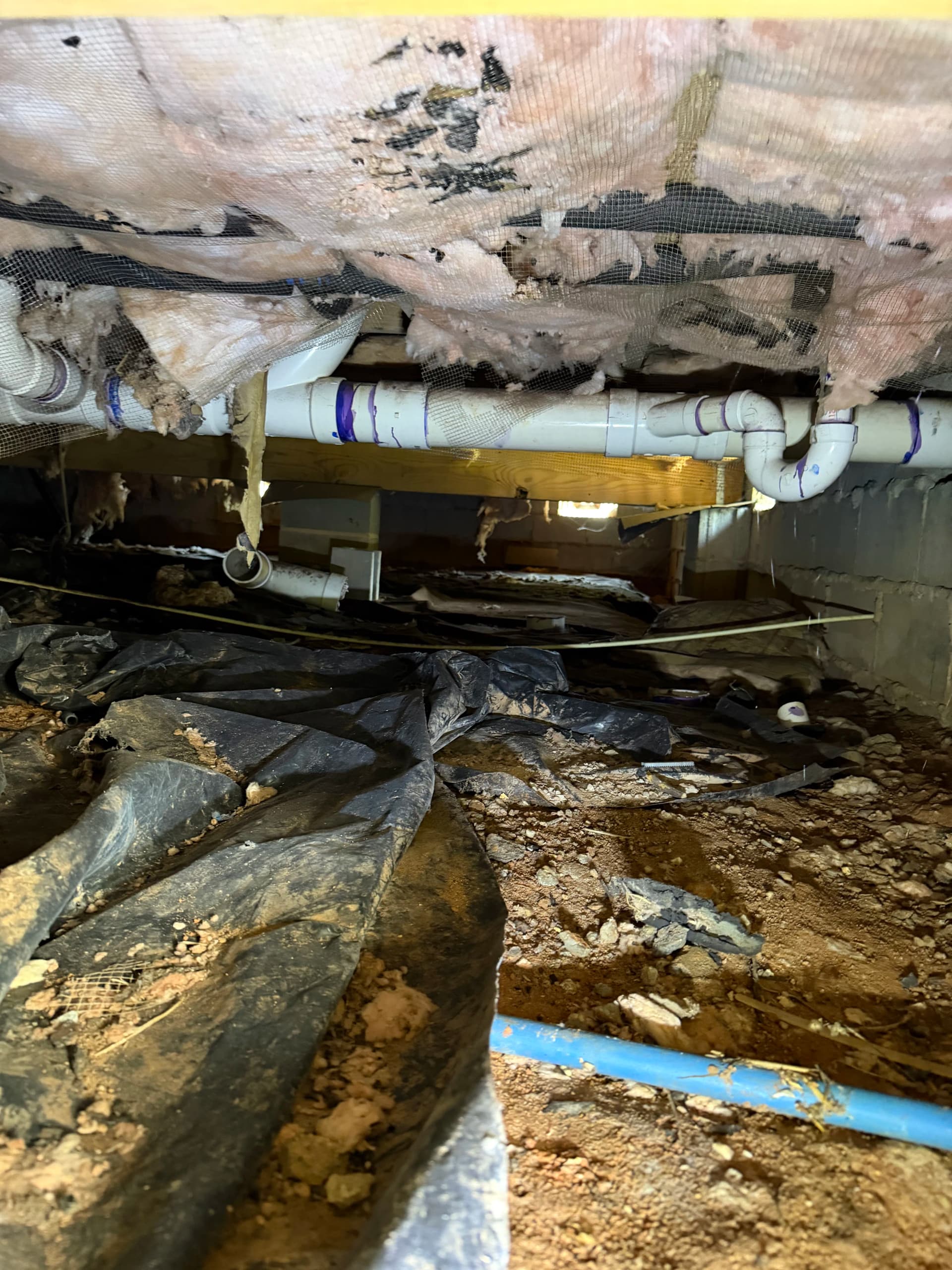 Gallery photos for Crawl Space Encapsulation Done Right in Long Beach Mississippi: Image #2