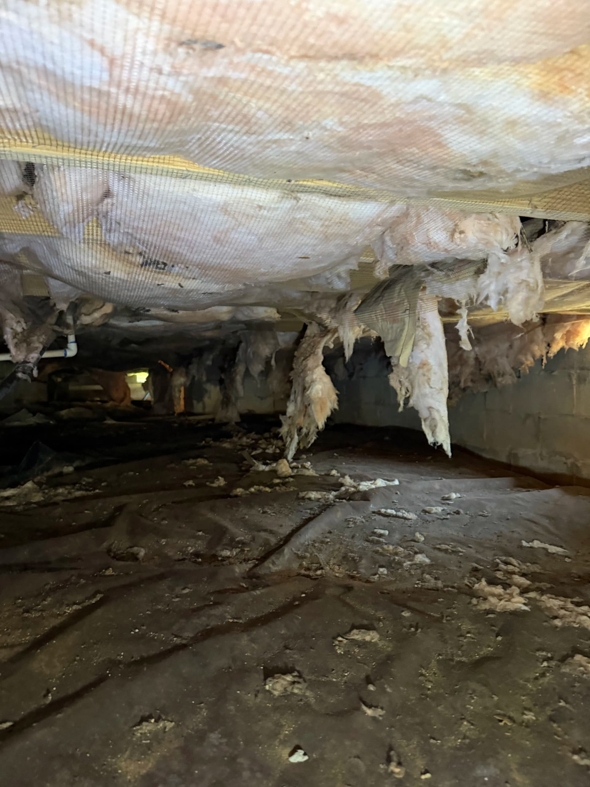Gallery photos for Crawl Space Encapsulation Done Right in Long Beach Mississippi: Image #1