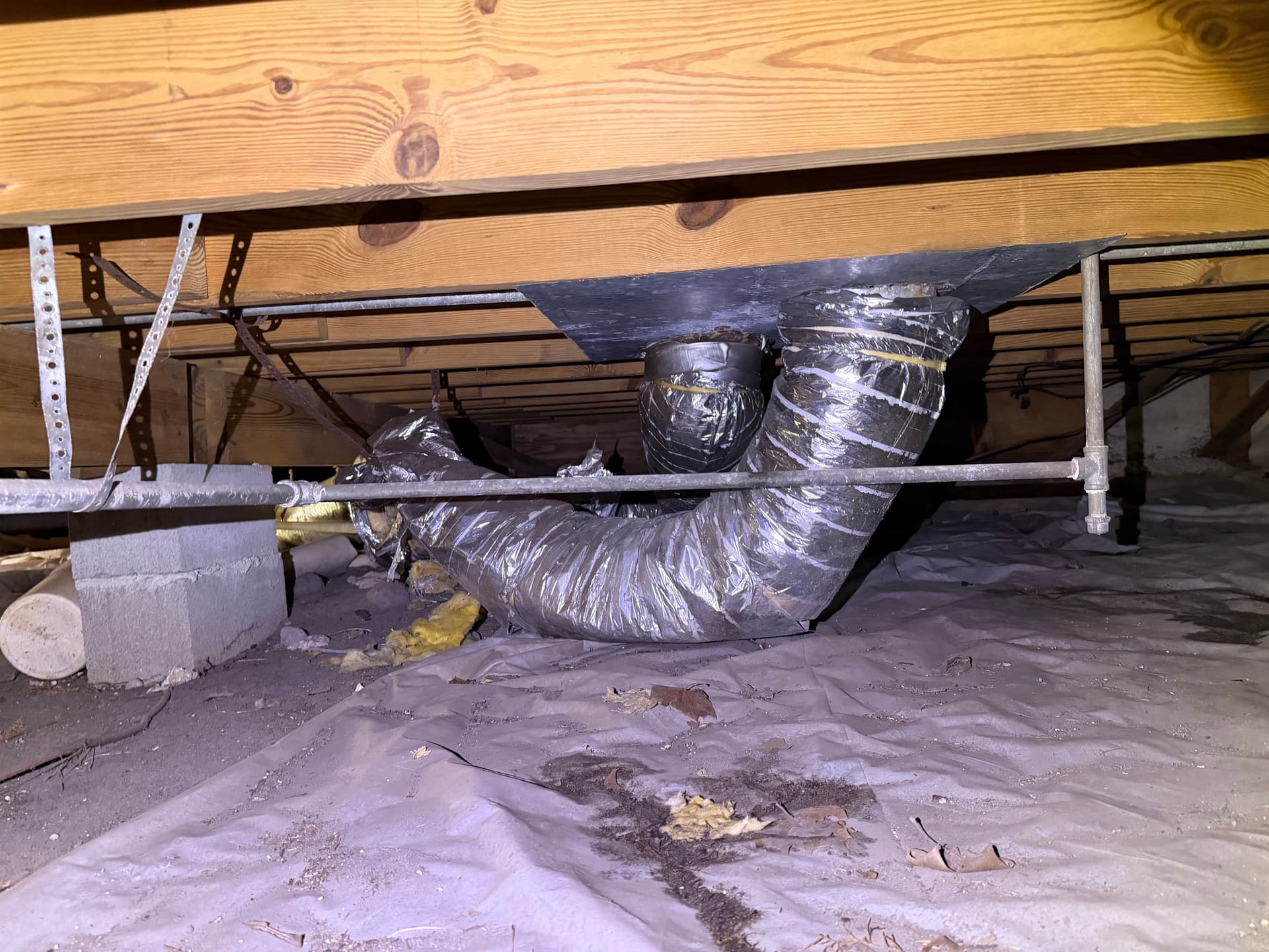 Gallery photos for Crawl Space Inspection Finds Moisture and Fungus in West Pensacola: Image #2