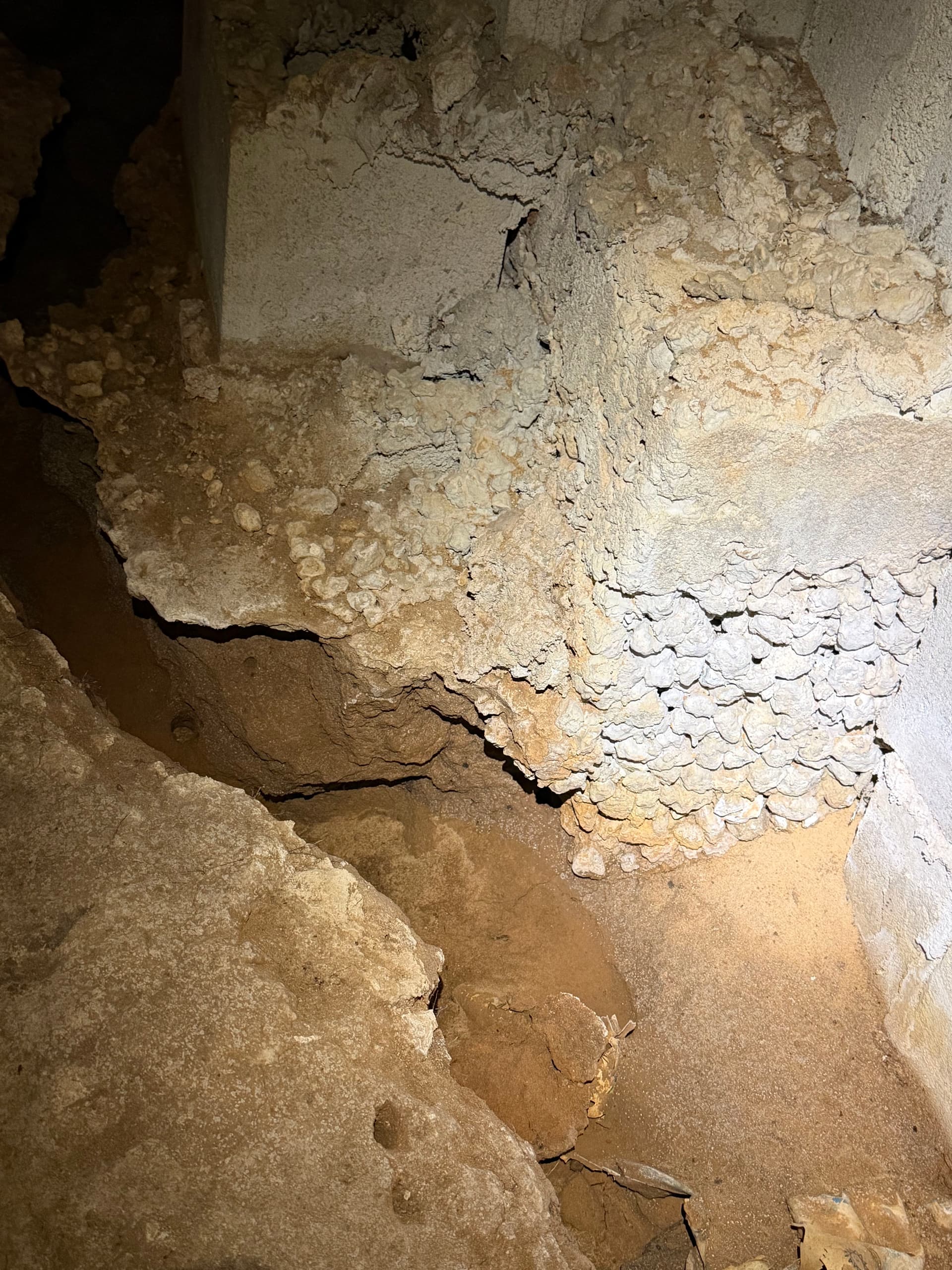 Gallery photos for Crawlspace Assessment Uncovers Serious Drainage and Fungus Issues in Tallahassee: Image #1