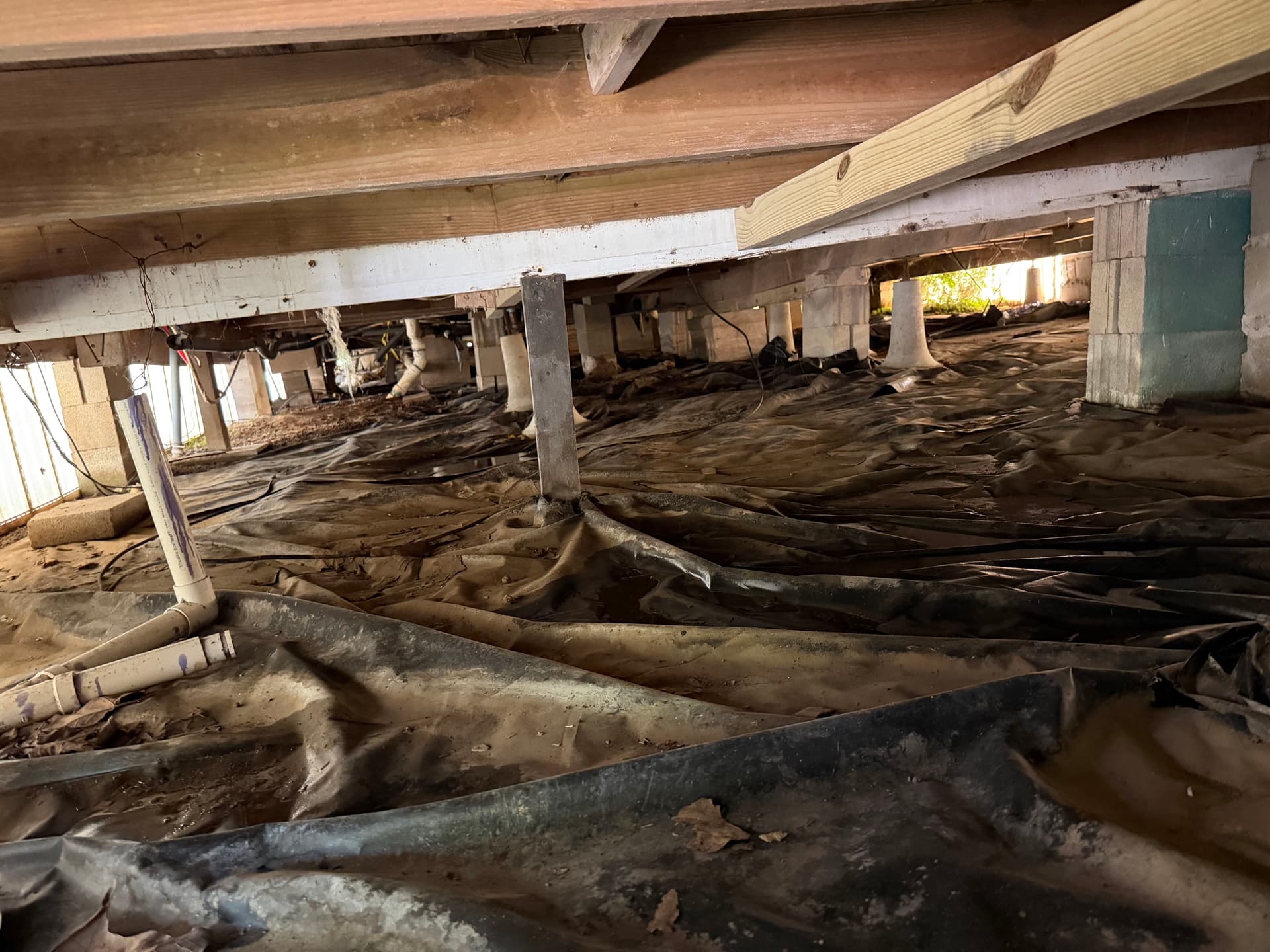 Gallery photos for What a Crawl Space Inspection Found in Monroeville and Loxley: Image #5
