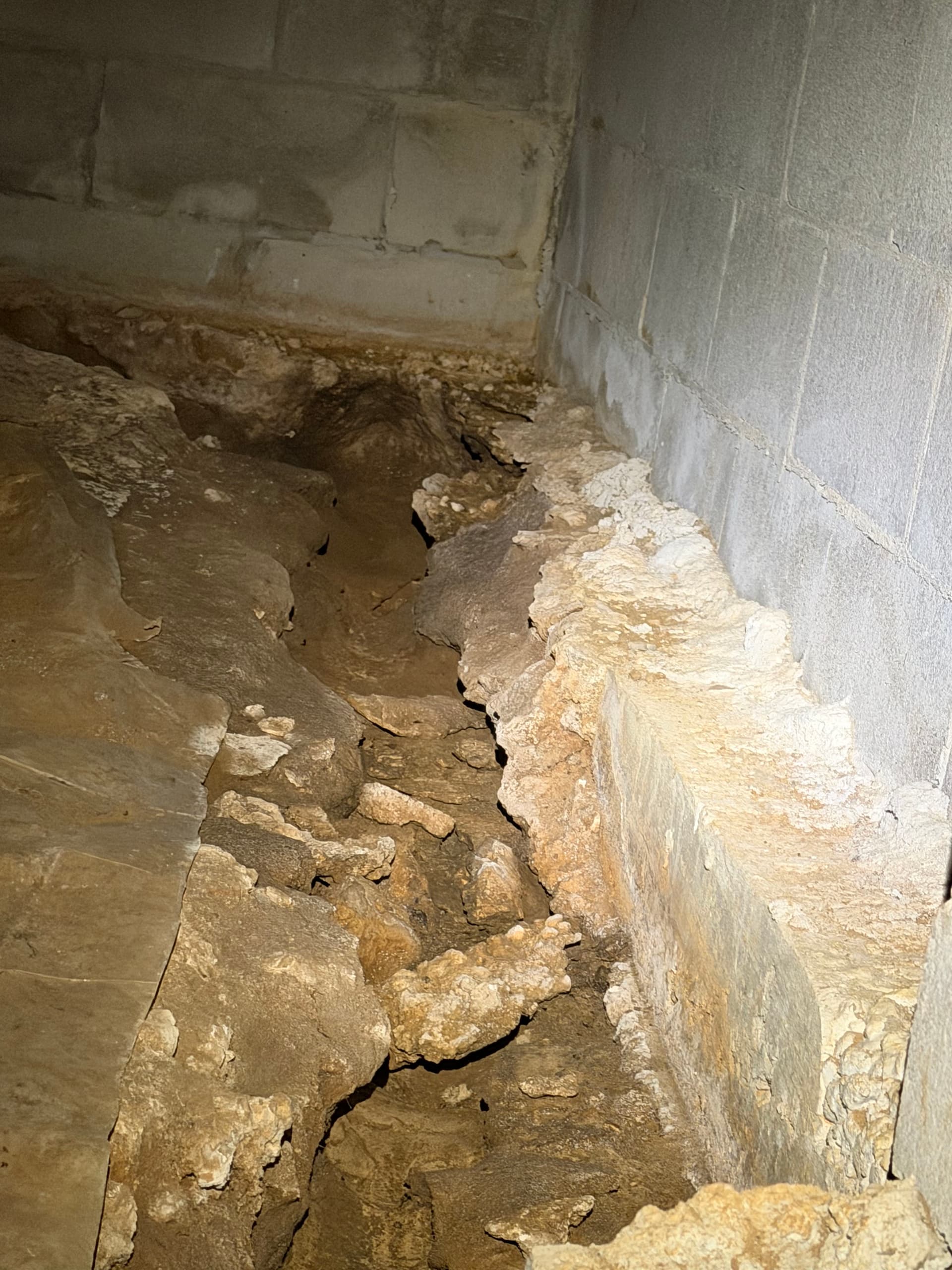 Gallery photos for Crawlspace Assessment Uncovers Serious Drainage and Fungus Issues in Tallahassee: Image #2