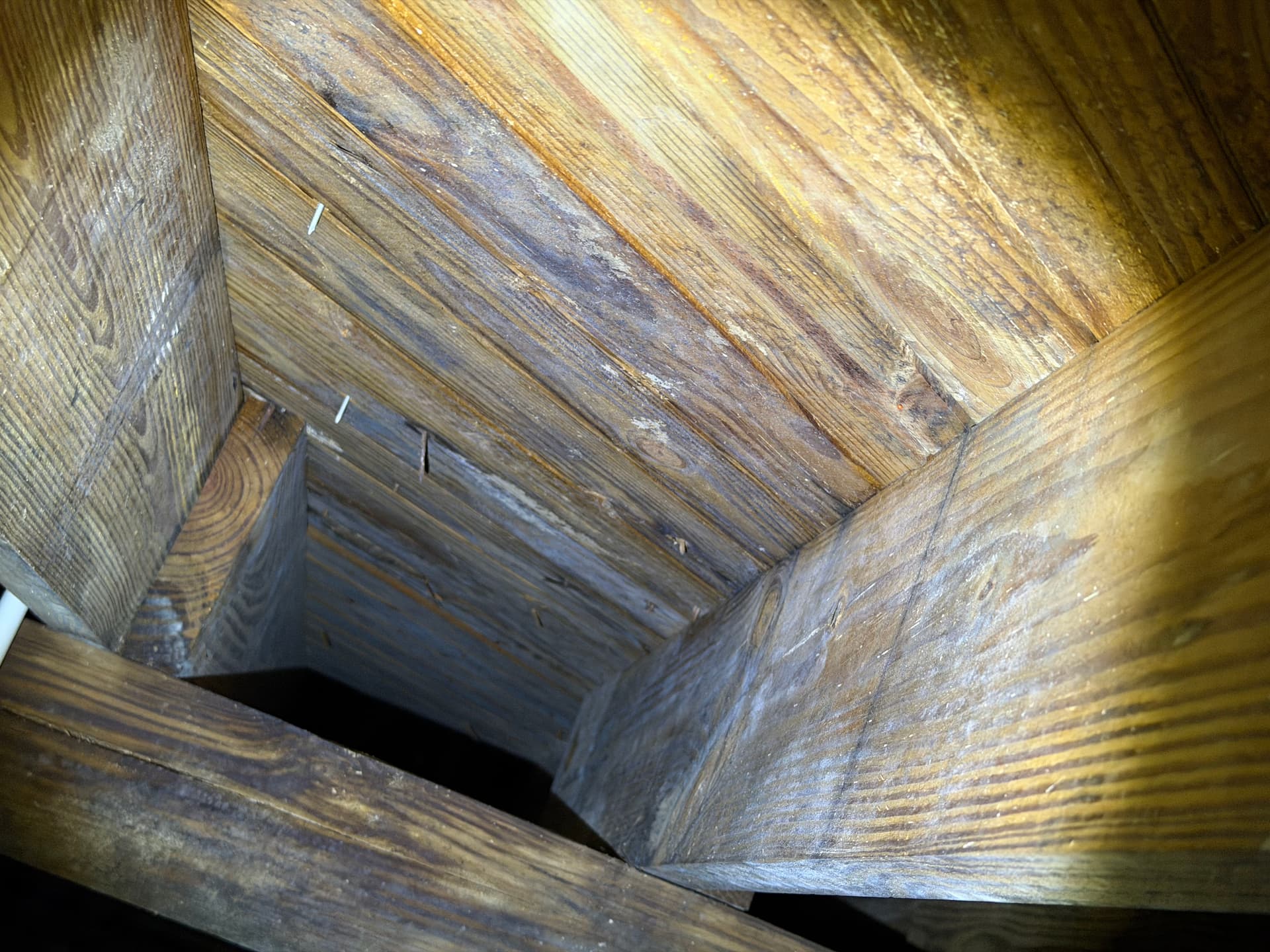 Gallery photos for Crawlspace Inspection Findings in Pensacola - What Was Hiding Under the House: Image #2