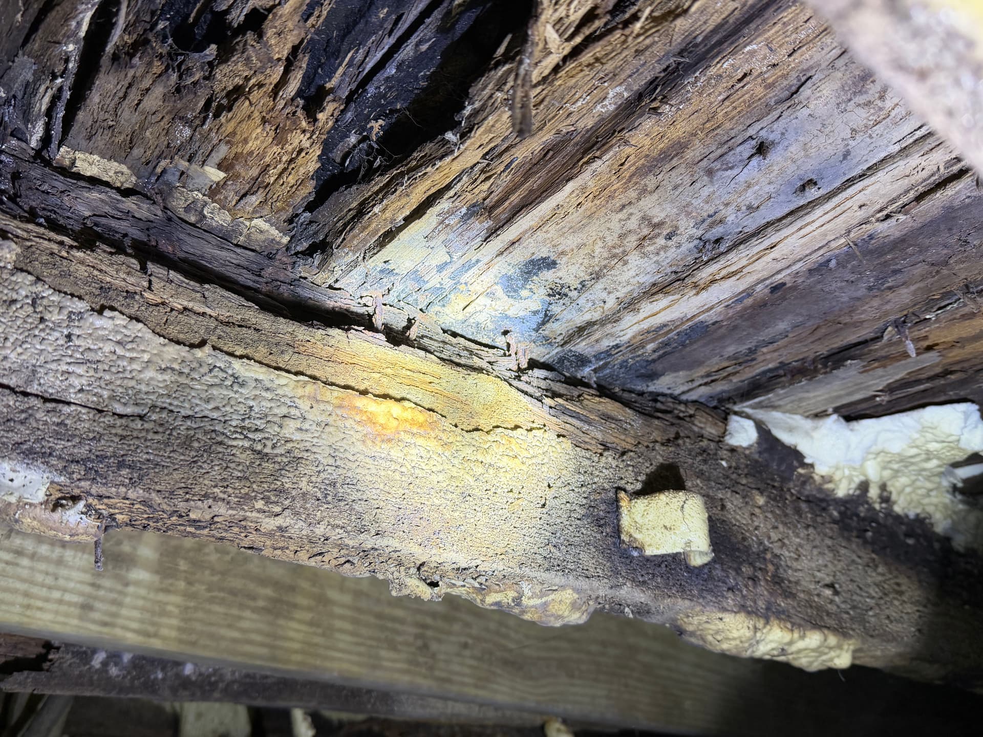 Gallery photos for The Dangers of Improper Crawl Space Insulation: Image #8