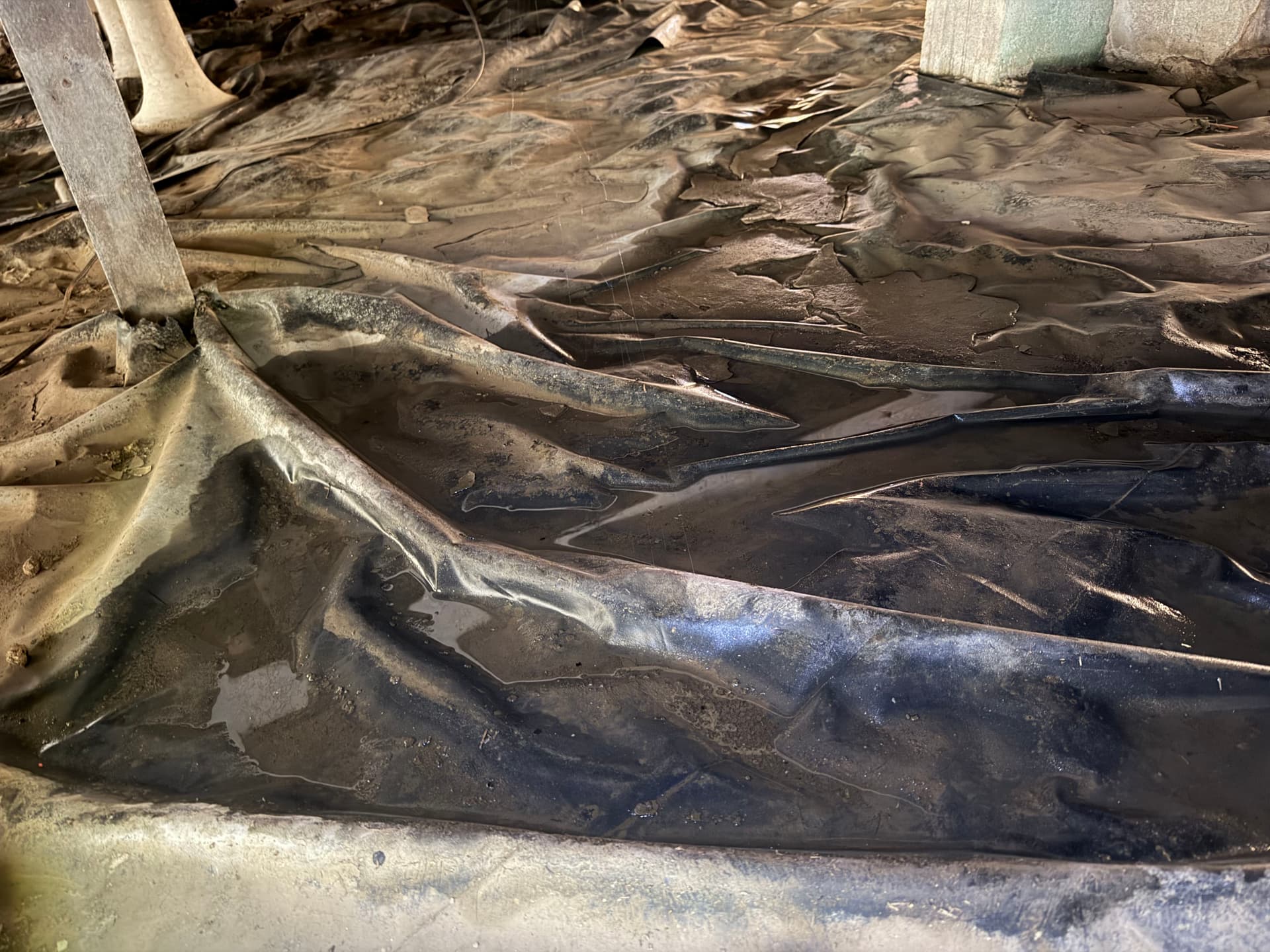 Gallery photos for What a Crawl Space Inspection Found in Monroeville and Loxley: Image #6