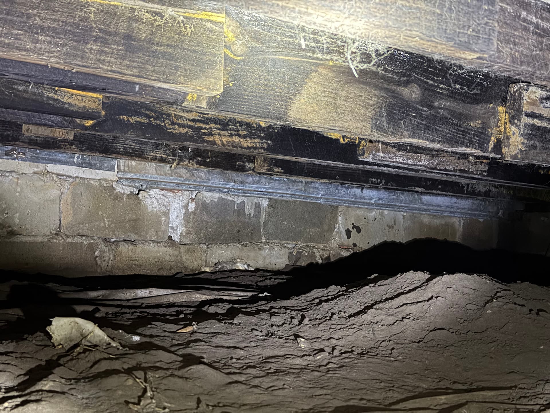 Gallery photos for What We Found Under a Lumberton Mississippi Home: Image #7