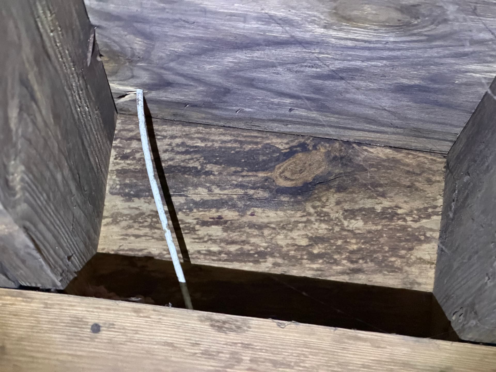 Gallery photos for What a Crawl Space Inspection Found Under a Daphne Home: Image #7
