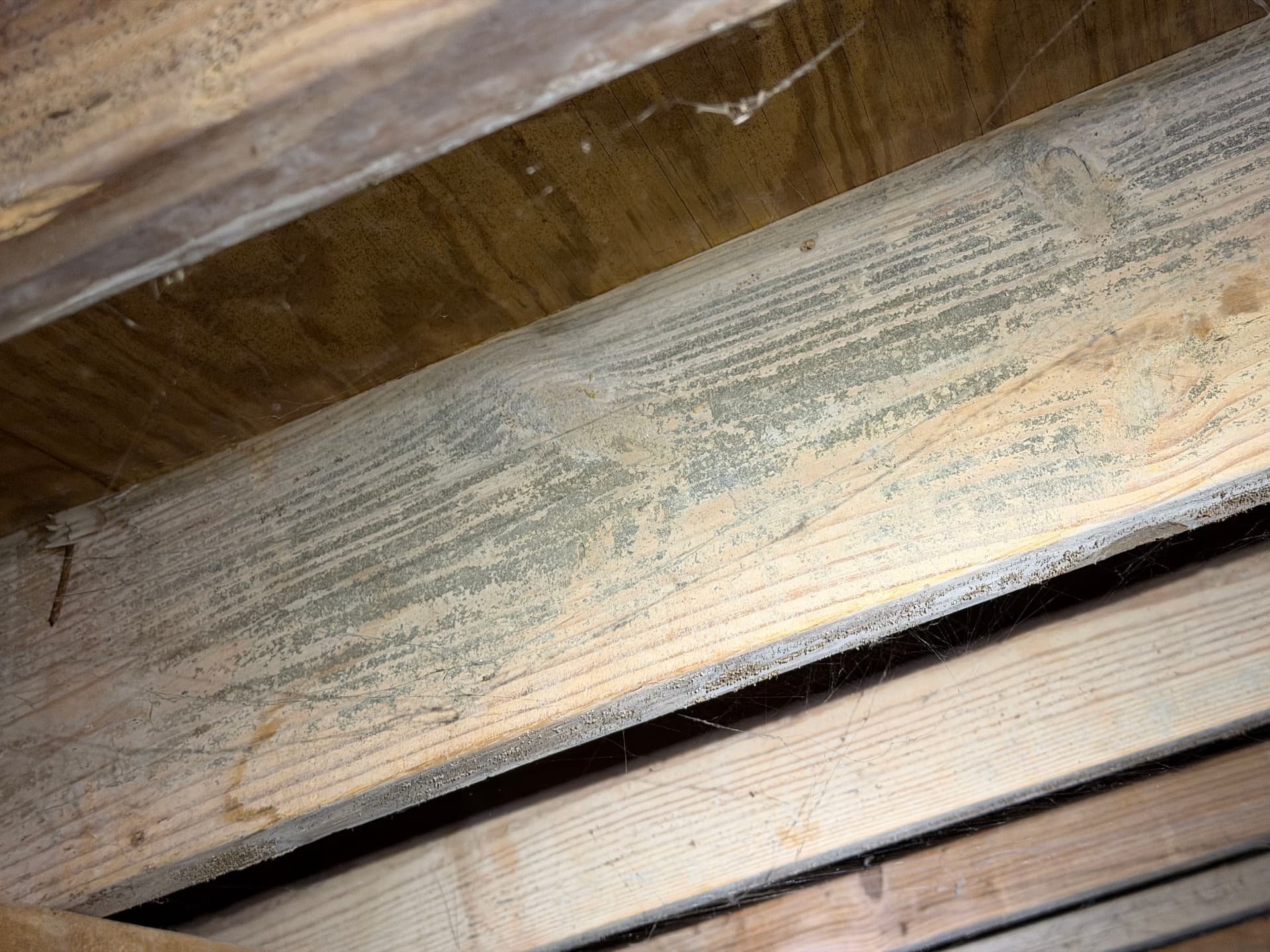 Gallery photos for Crawl Space Inspection in Montgomery: Image #3