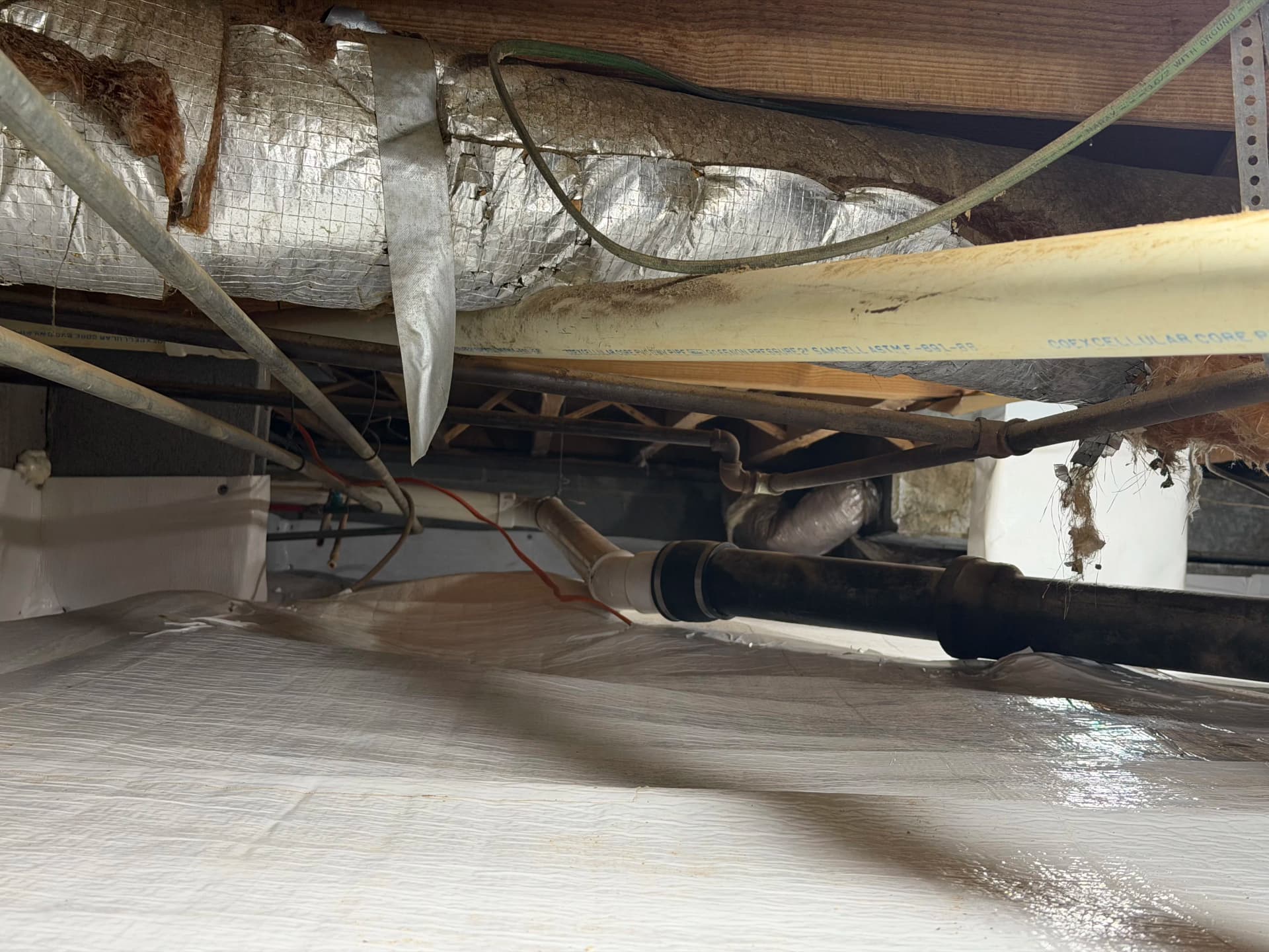 Gallery photos for Crawl Space Encapsulation Done Right in Ozark Alabama: Image #4