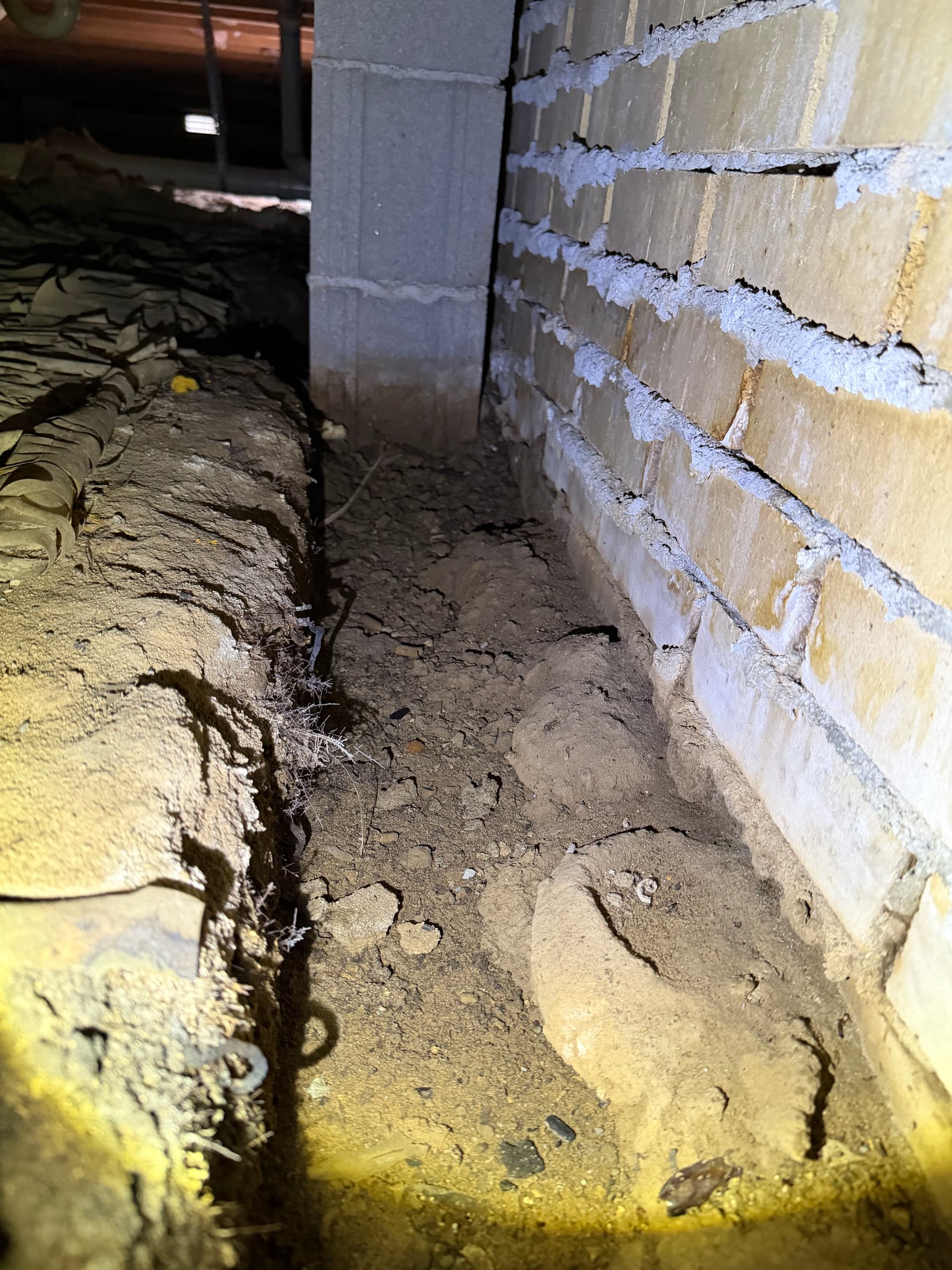 Gallery photos for Crawl Space Assessments Across Tallahassee and Milton: Image #6