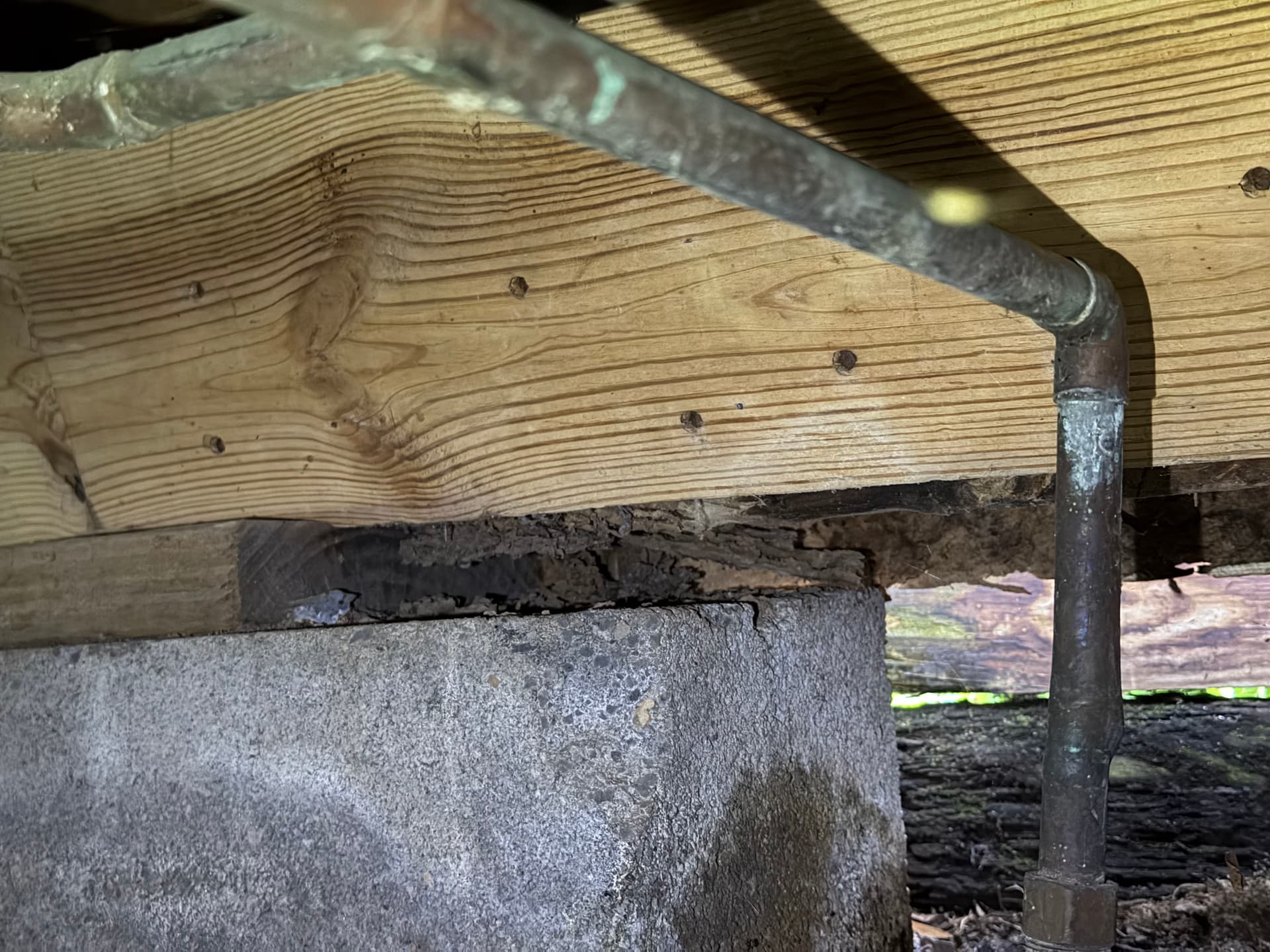 Gallery photos for Uncovering Crawl Space Challenges in Pensacola: Image #3