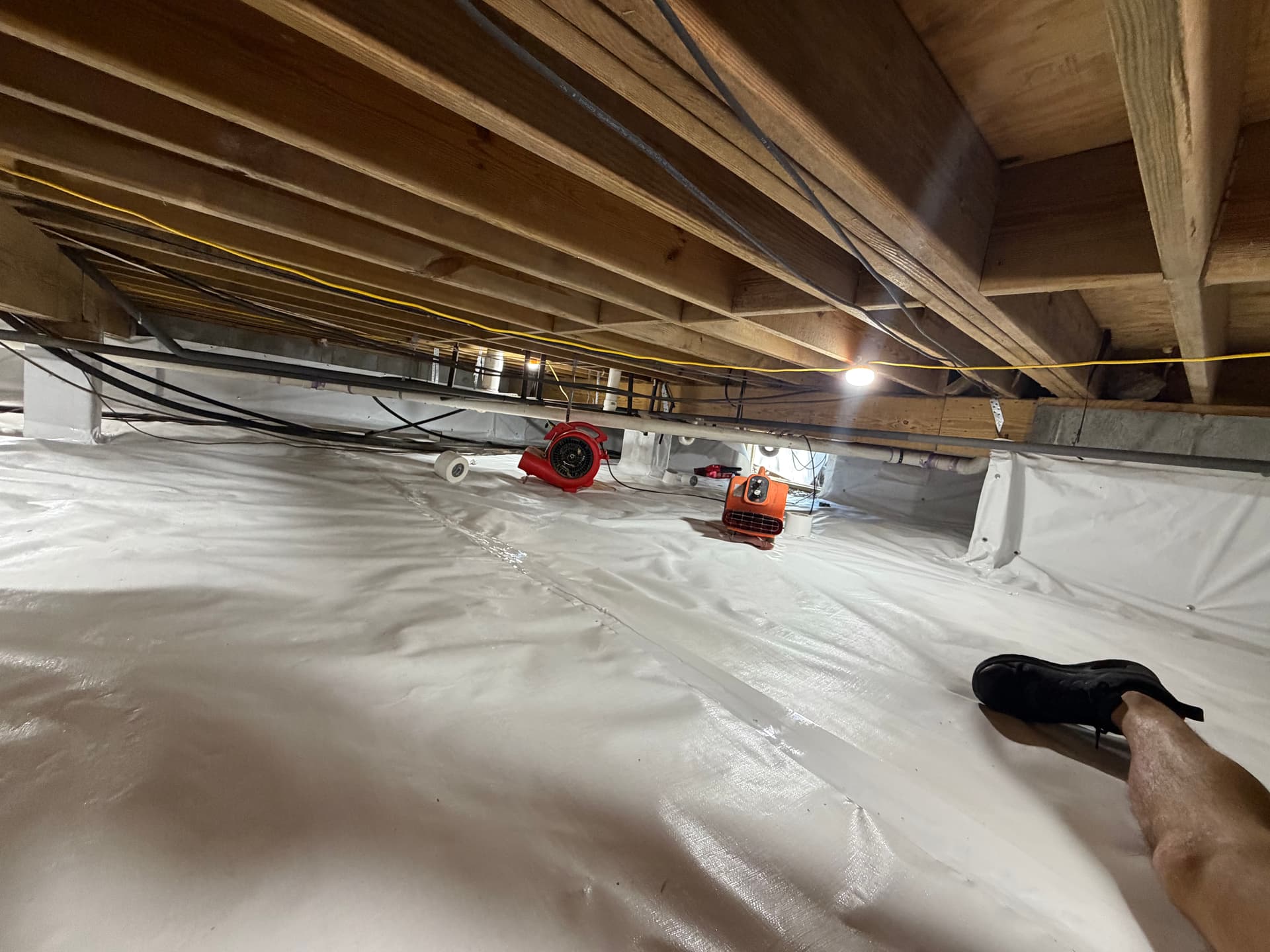 Gallery photos for Crawl Space Encapsulation Done Right - Clean, Sealed, Protected: Image #6