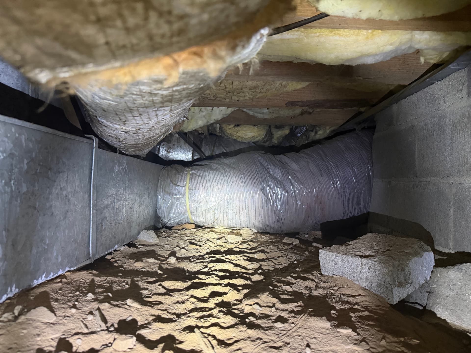 Gallery photos for 350 Miles of Crawlspace Assessments Across South Alabama: Image #3