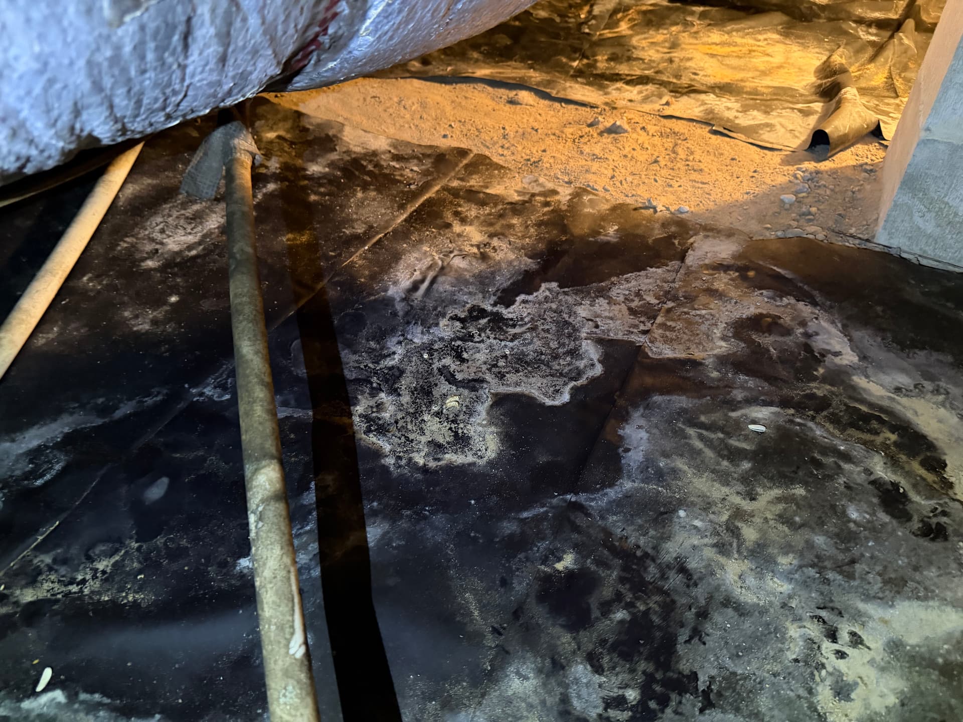 Gallery photos for Crawl Space Assessments Across Tallahassee and Milton: Image #3
