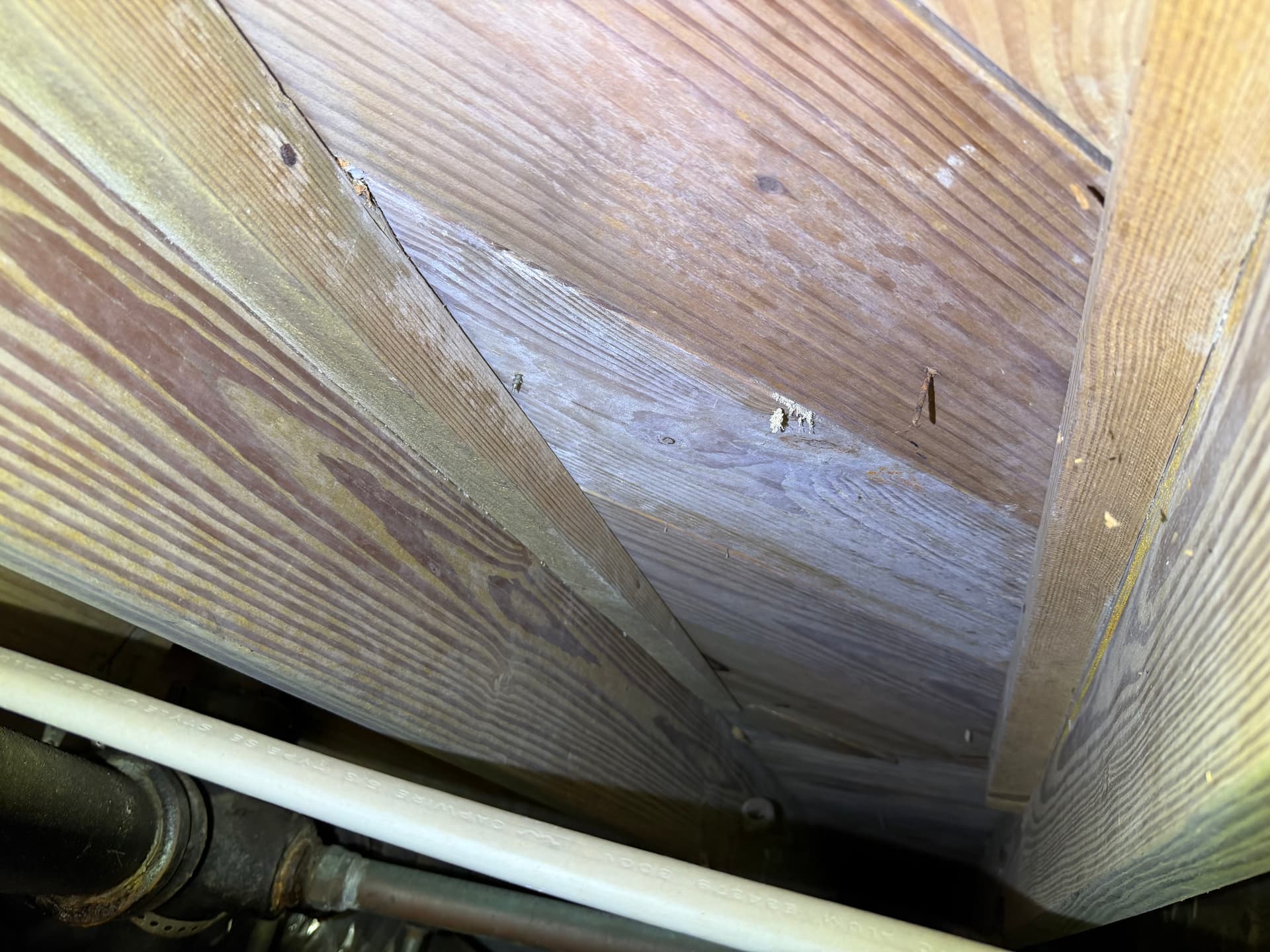 Gallery photos for Crawl Space Inspection Finds Moisture and Fungus in West Pensacola: Image #5