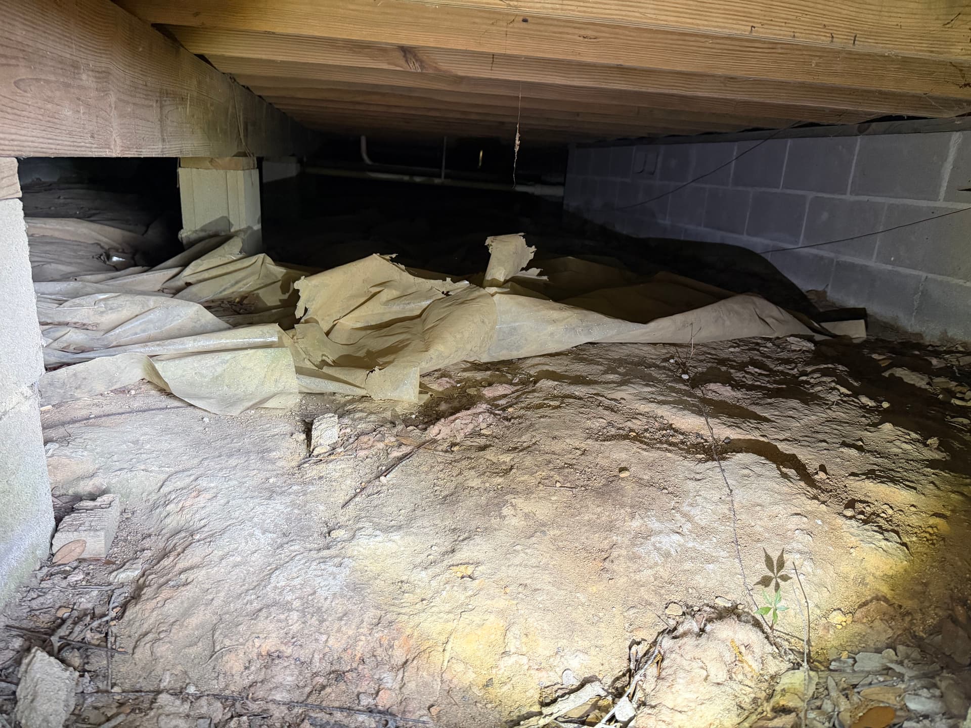 Gallery photos for What a Crawl Space Inspection Found Under a Daphne Home: Image #1