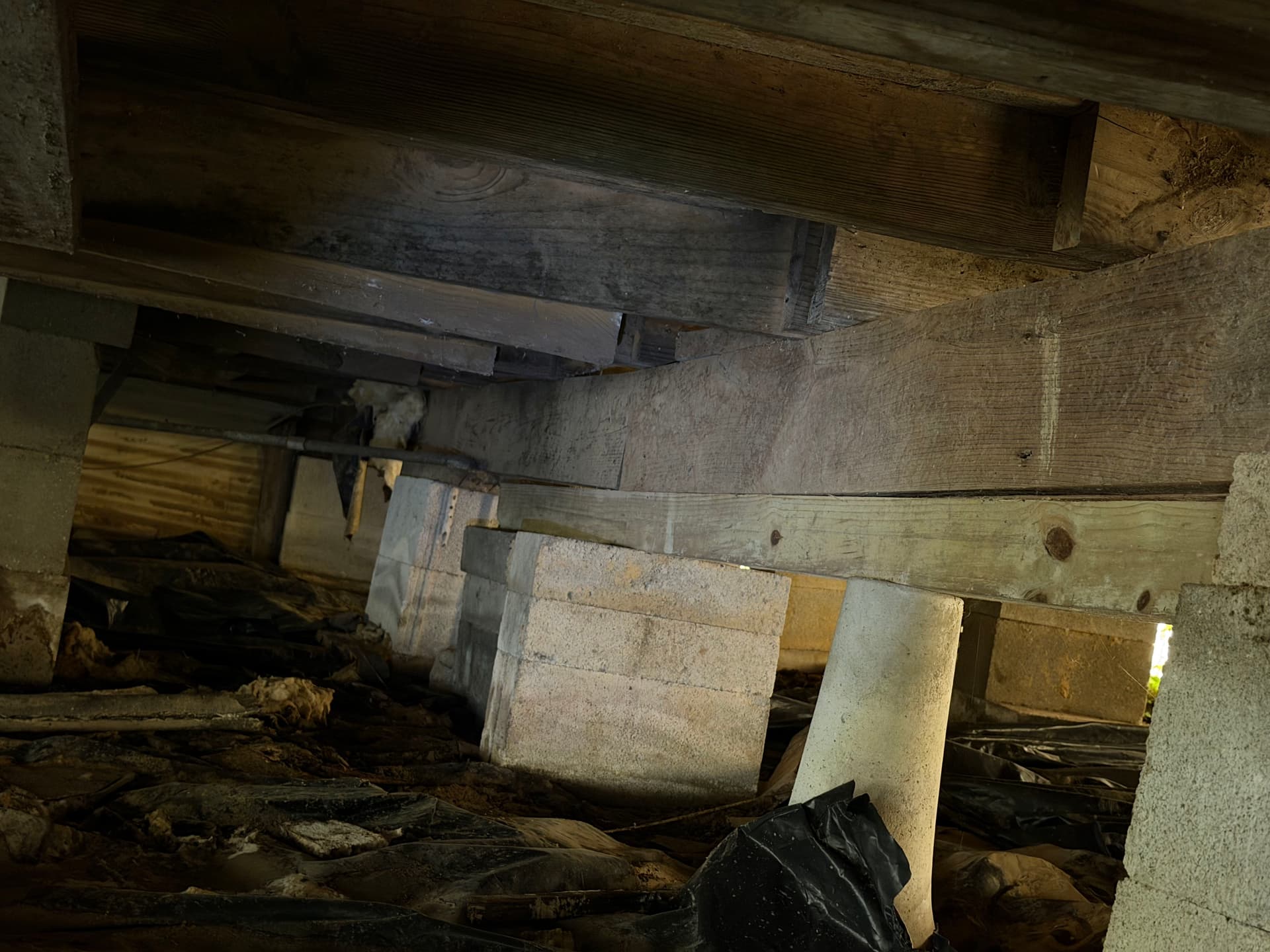Gallery photos for What a Crawl Space Inspection Found in Monroeville and Loxley: Image #9