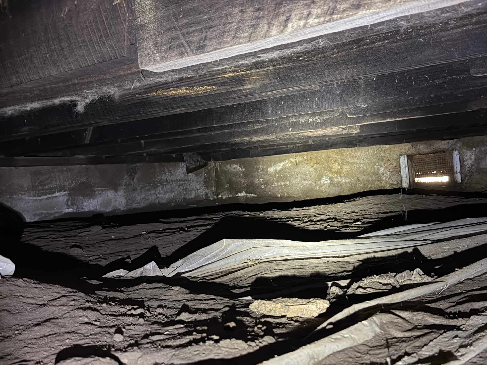Gallery photos for What We Found Under a Lumberton Mississippi Home: Image #6