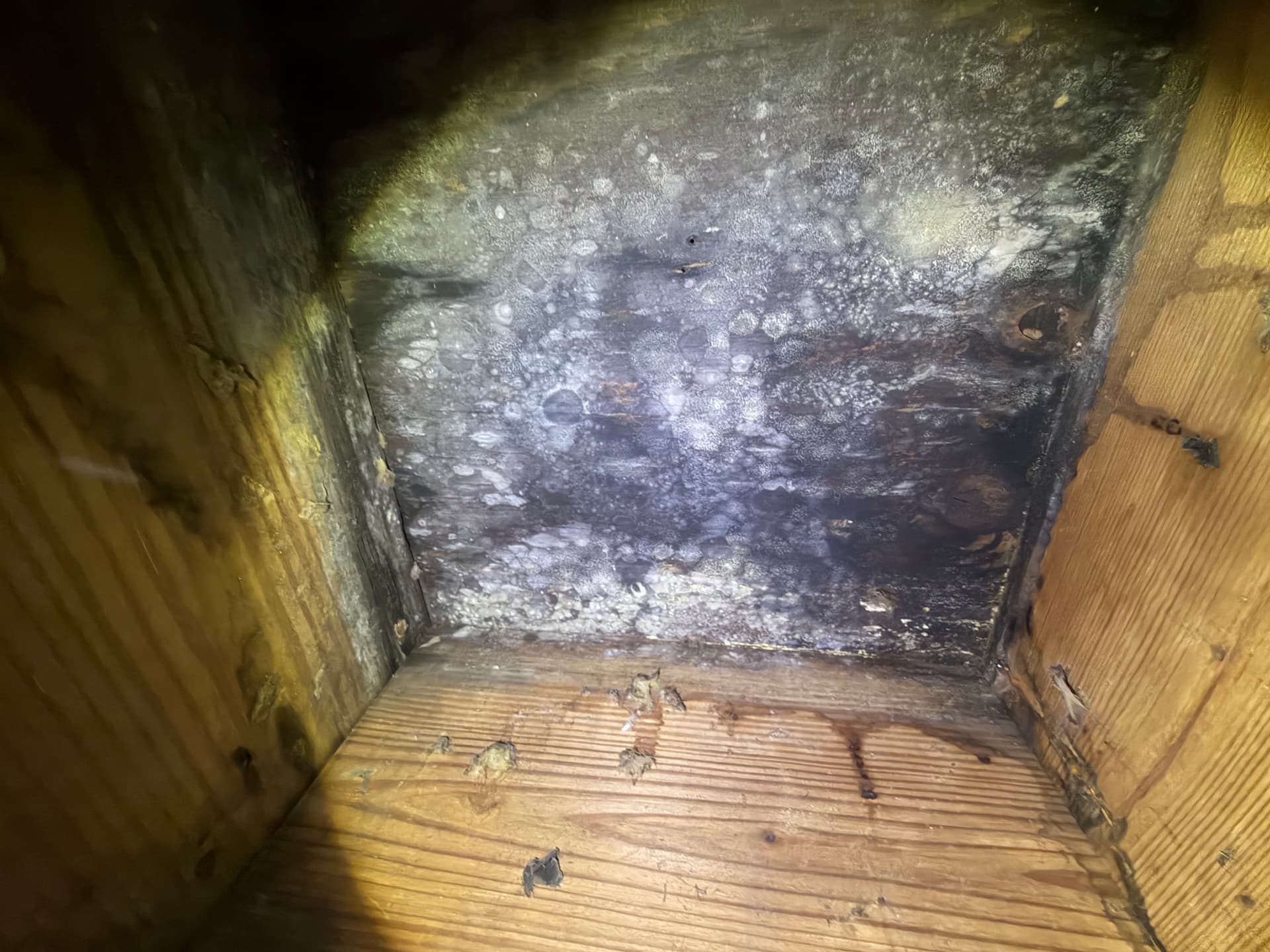What a Crawl Space Inspection Found in Monroeville and Loxley image