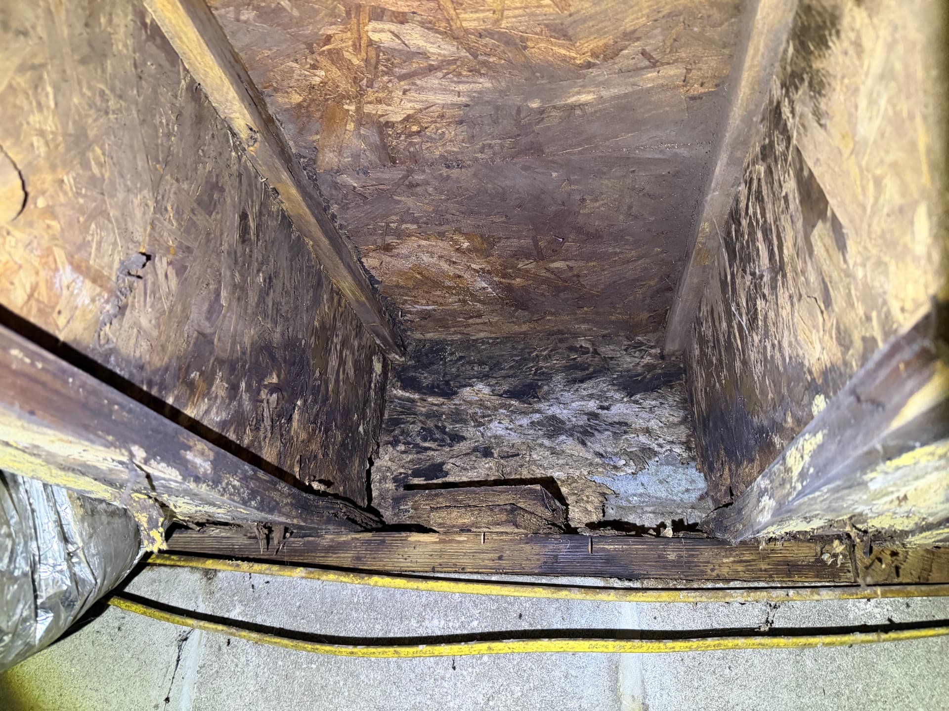 5 Crawl Space Assessments Across the Gulf Coast in One Day image