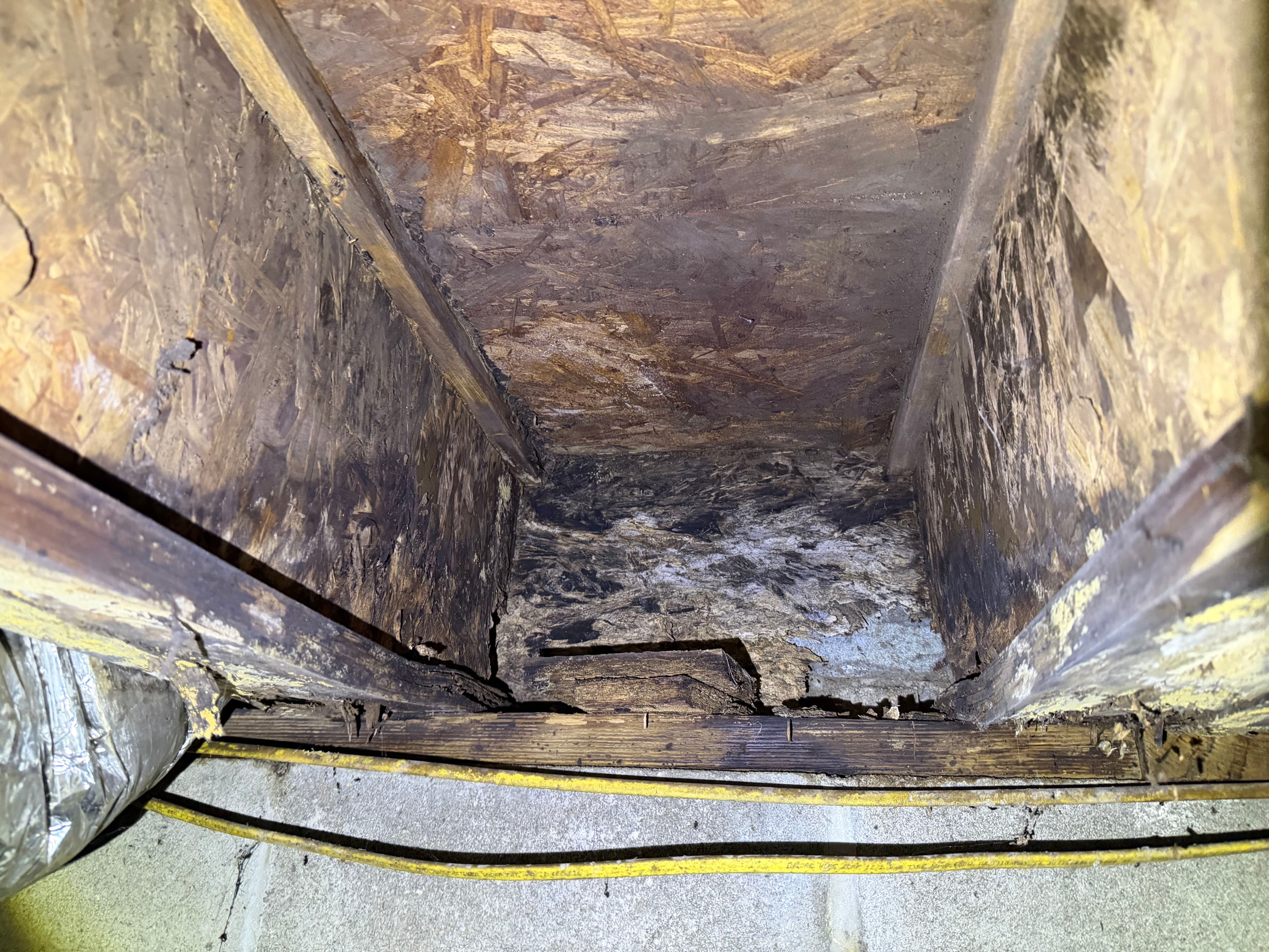 Project 5 Crawl Space Assessments Across the Gulf Coast in One Day image