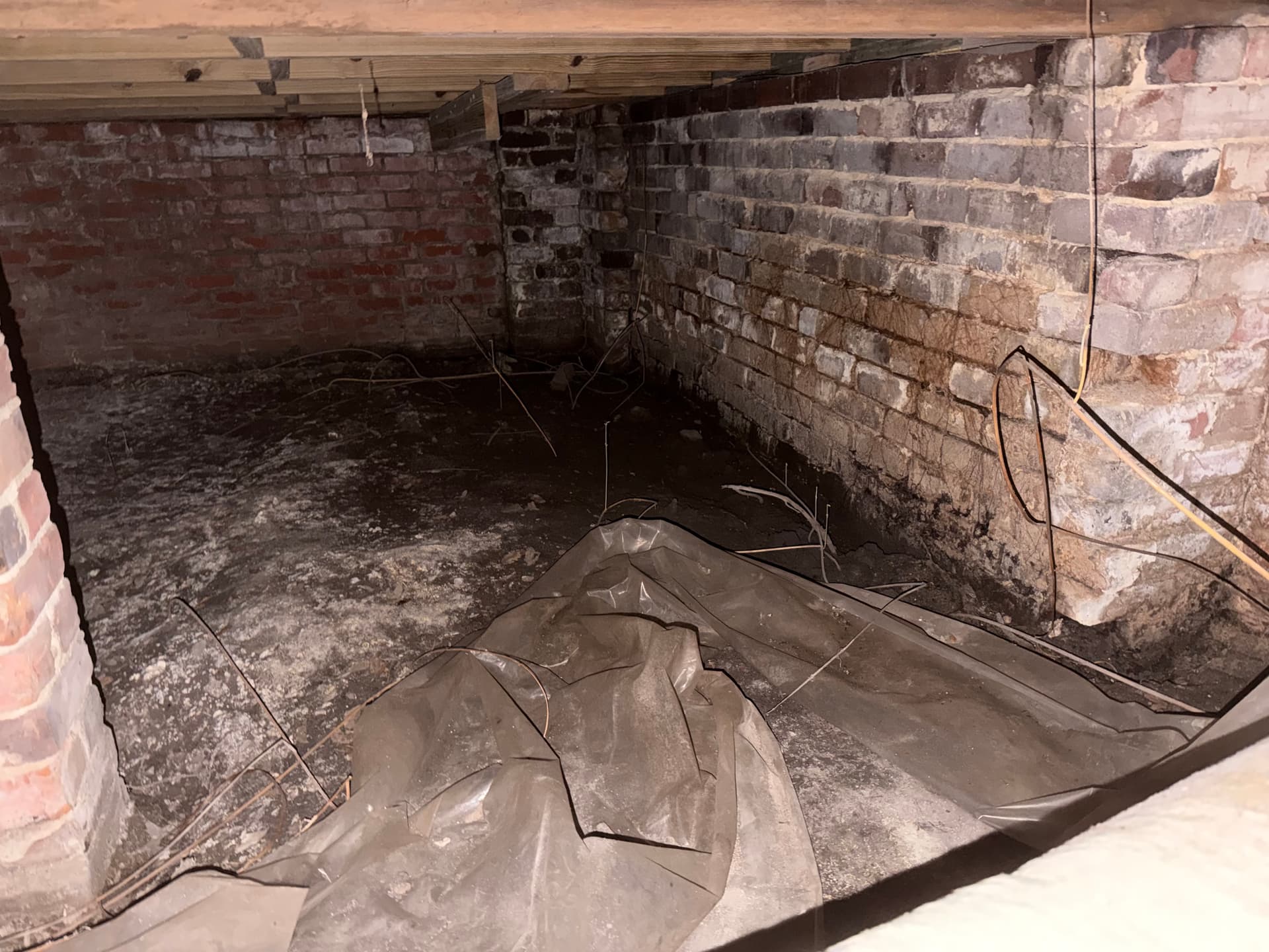 Gallery photos for Inspections Uncover Crawl Space Issues in AL and FL: Image #5
