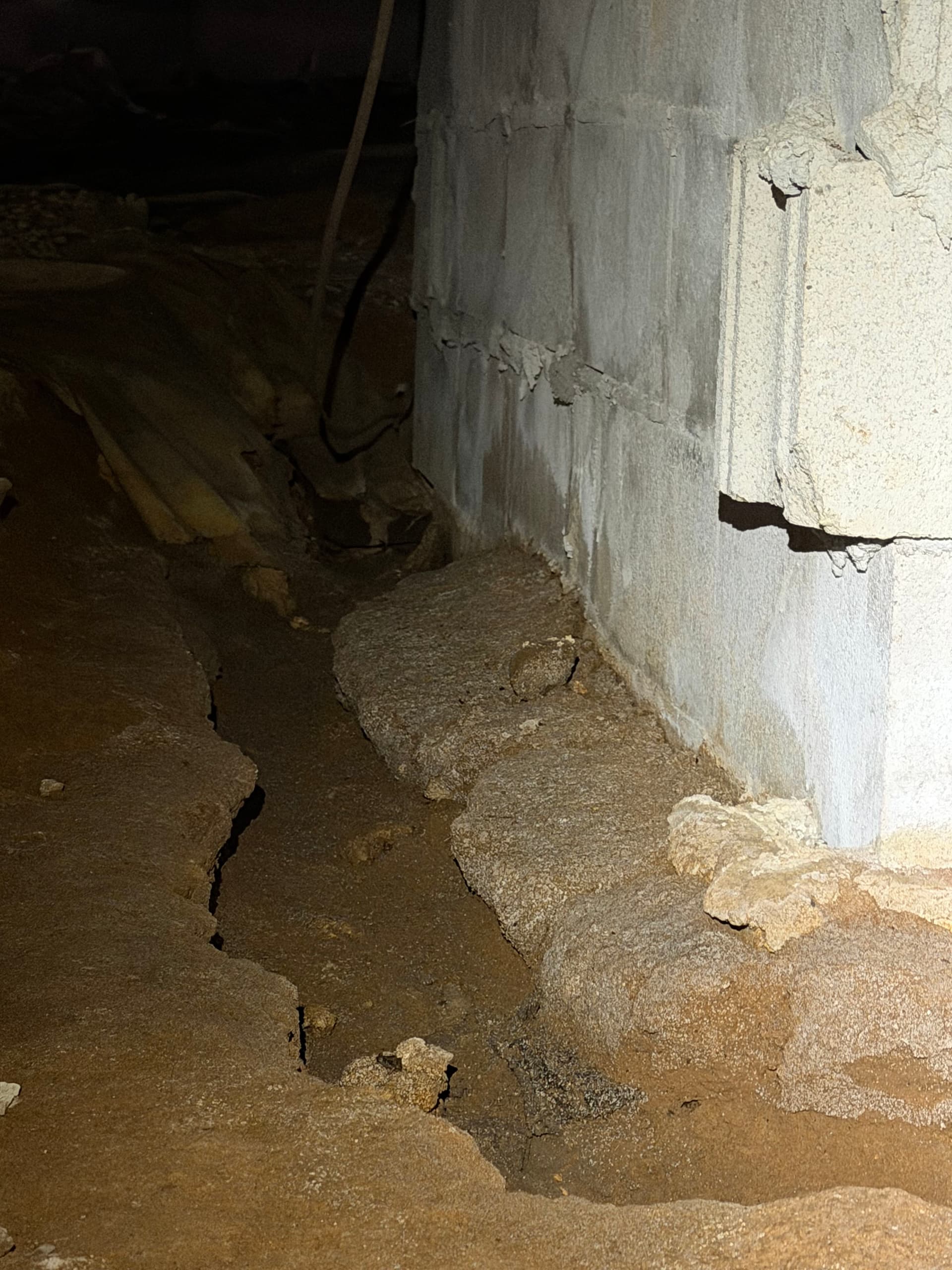 Gallery photos for Crawlspace Assessment Uncovers Serious Drainage and Fungus Issues in Tallahassee: Image #4