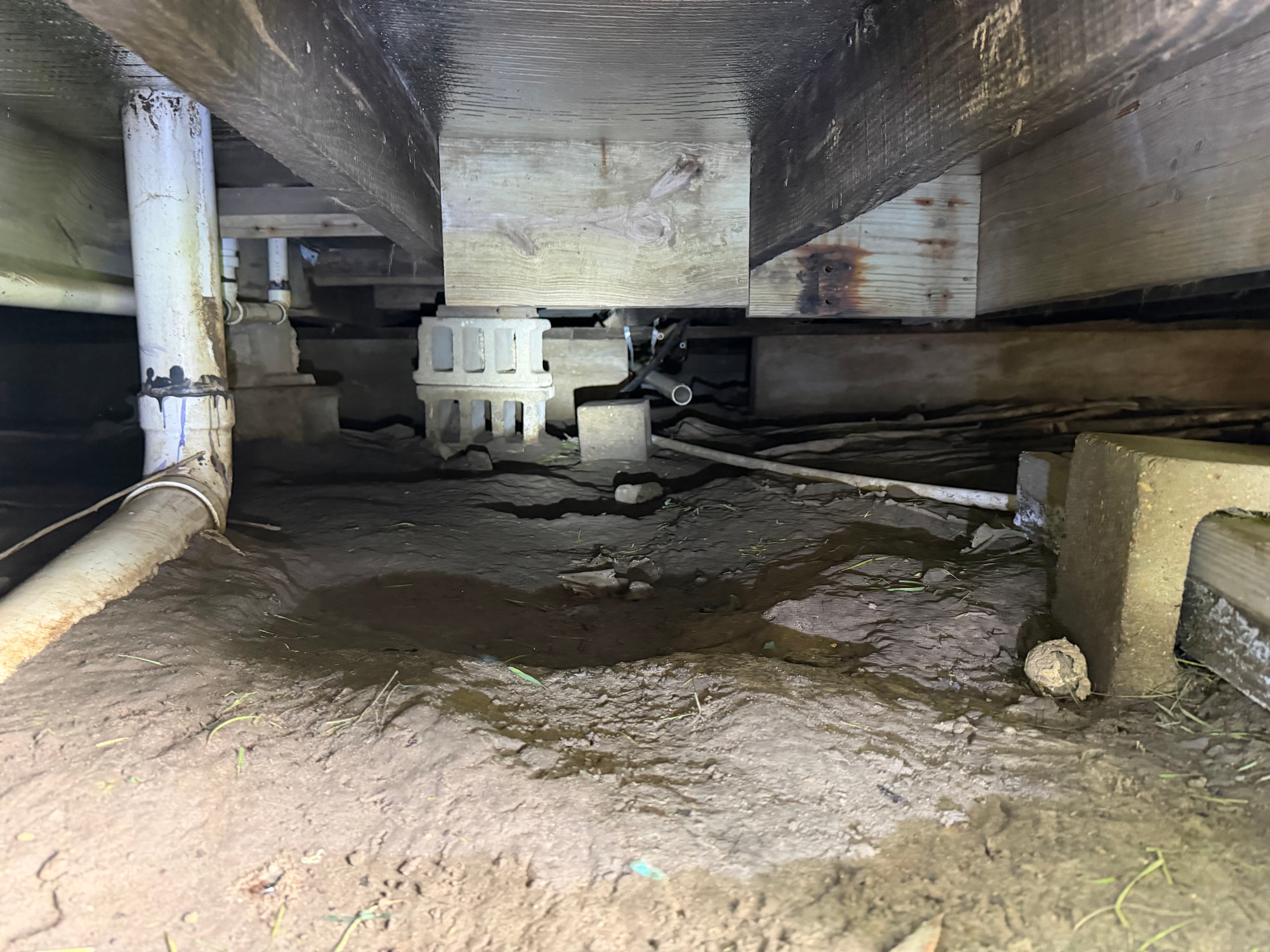 Project What We Found Under a Lumberton Mississippi Home image