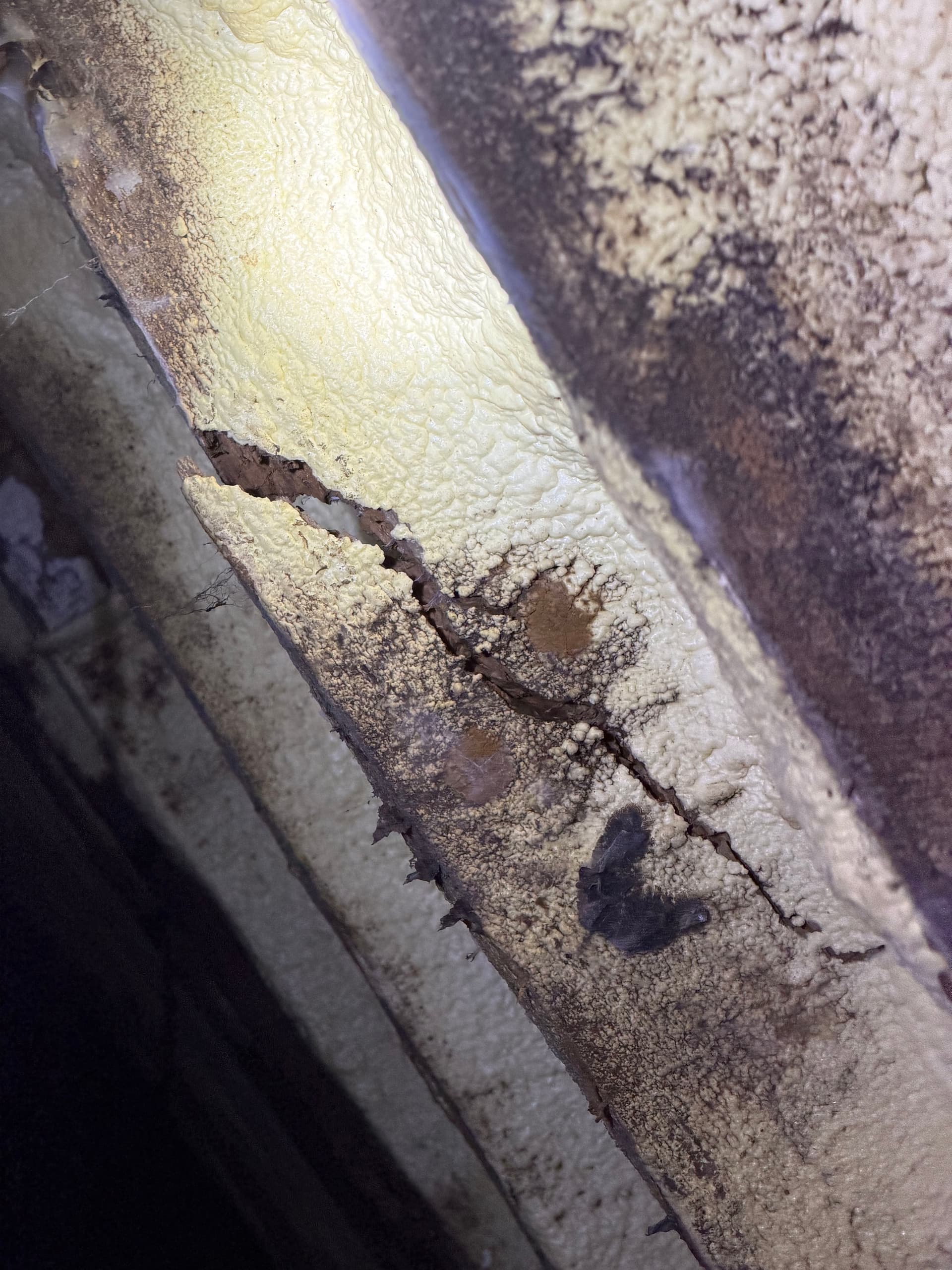 Gallery photos for The Dangers of Improper Crawl Space Insulation: Image #1