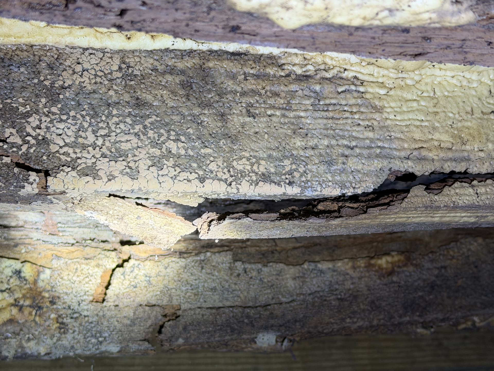Gallery photos for The Dangers of Improper Crawl Space Insulation: Image #6
