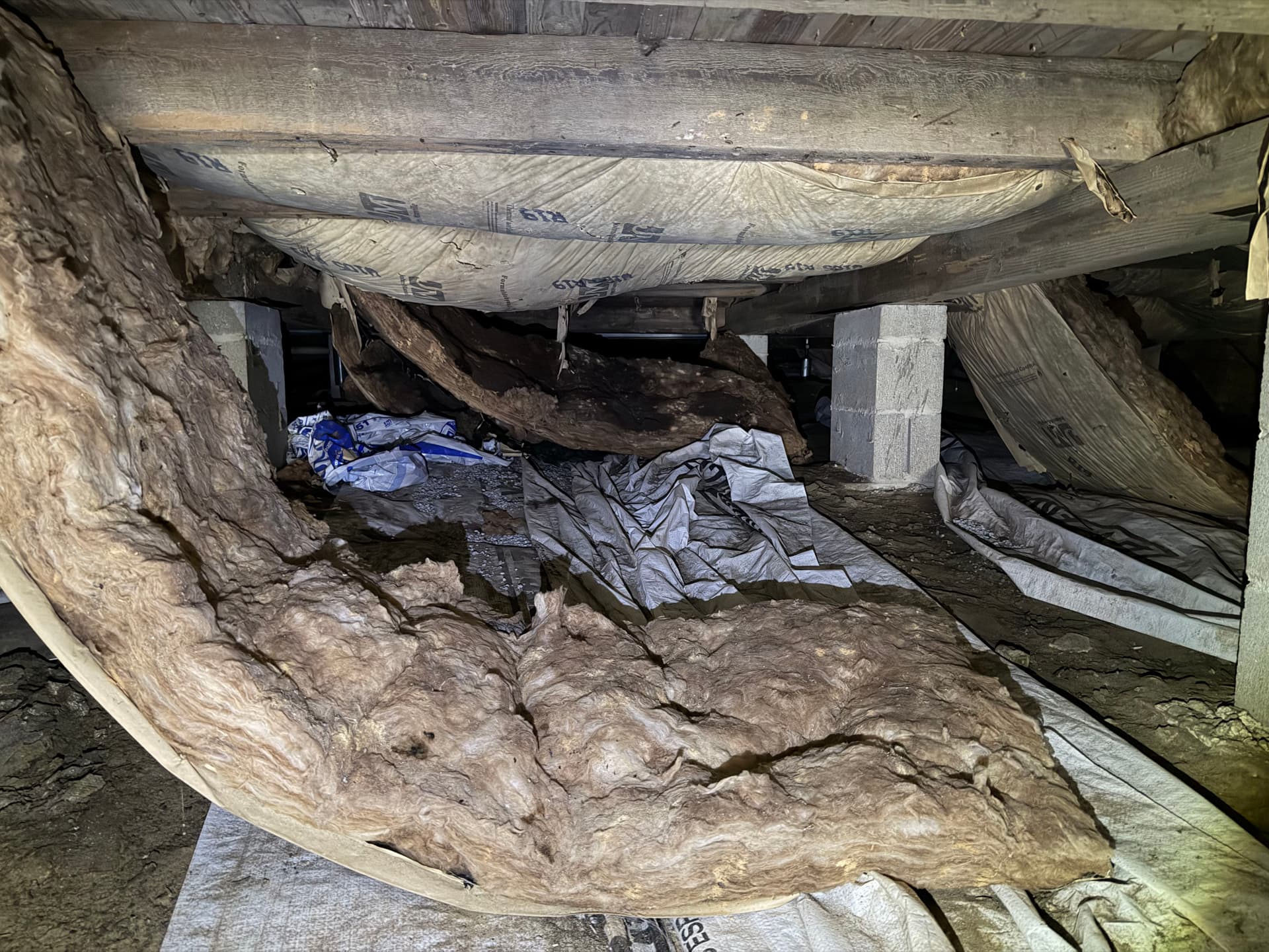 Gallery photos for Nearly 400 Miles Across the Gulf Coast Finding Crawl Space Problems: Image #5