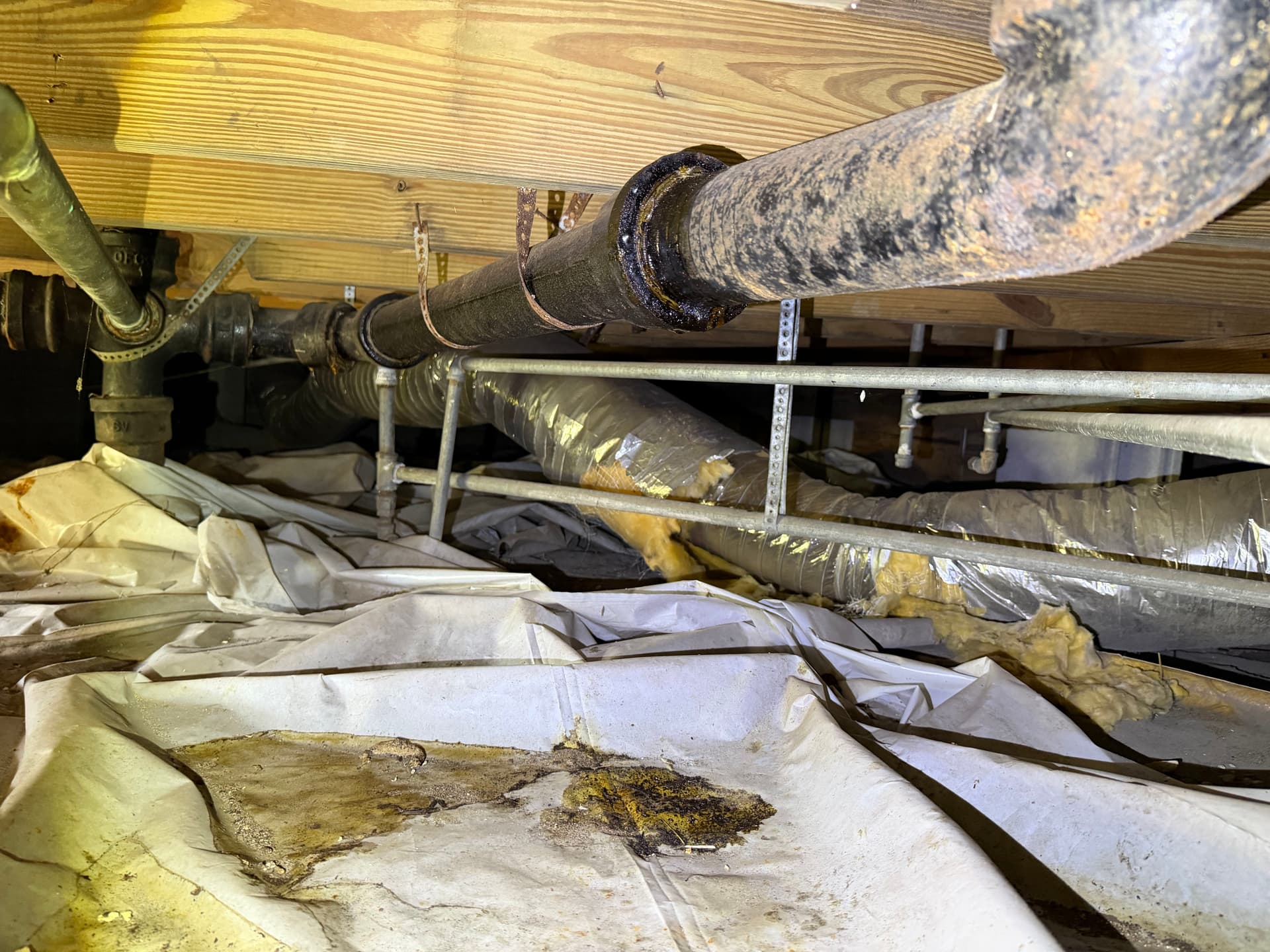 Gallery photos for Crawl Space Inspection Finds Moisture and Fungus in West Pensacola: Image #3