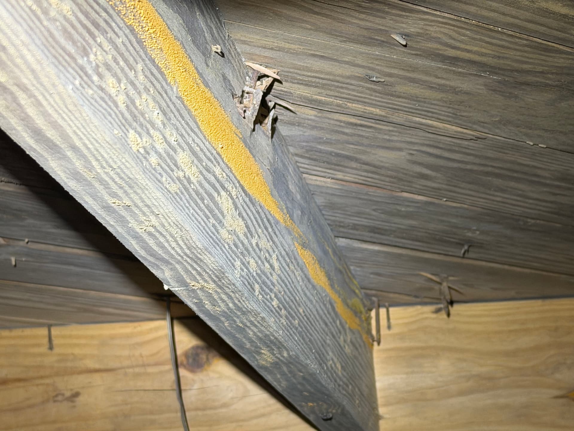 Gallery photos for Milton Home Crawl Space Inspection and Repair: Image #2