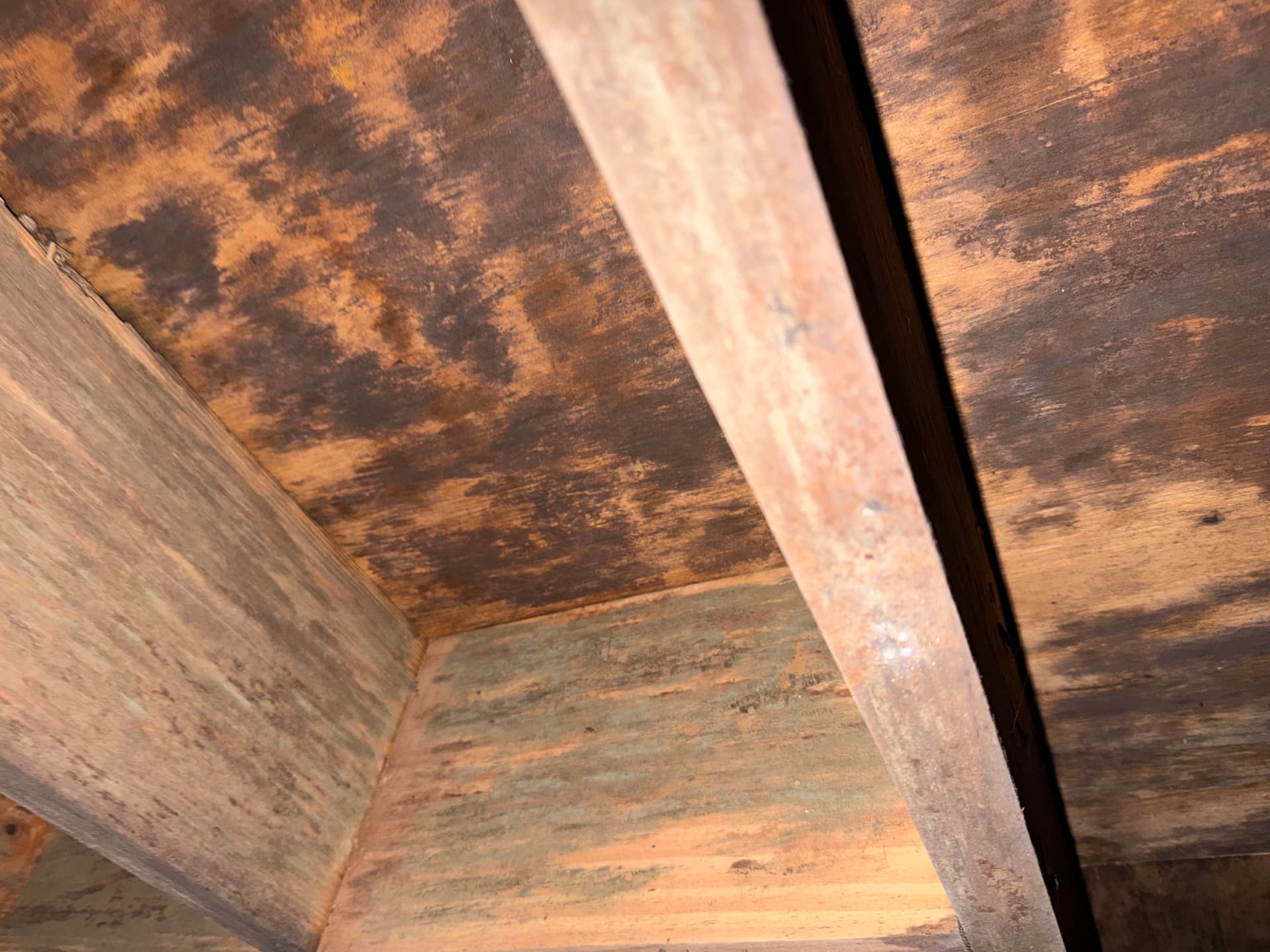 Gallery photos for Inspections Uncover Crawl Space Issues in AL and FL: Image #3