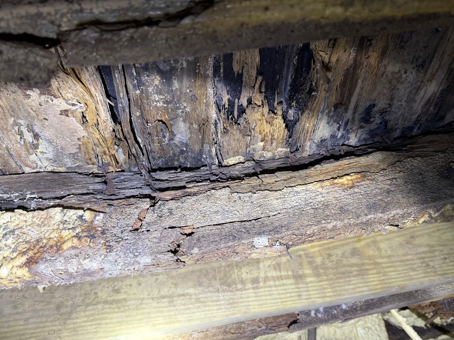 Gallery photos for The Dangers of Improper Crawl Space Insulation: Image #7