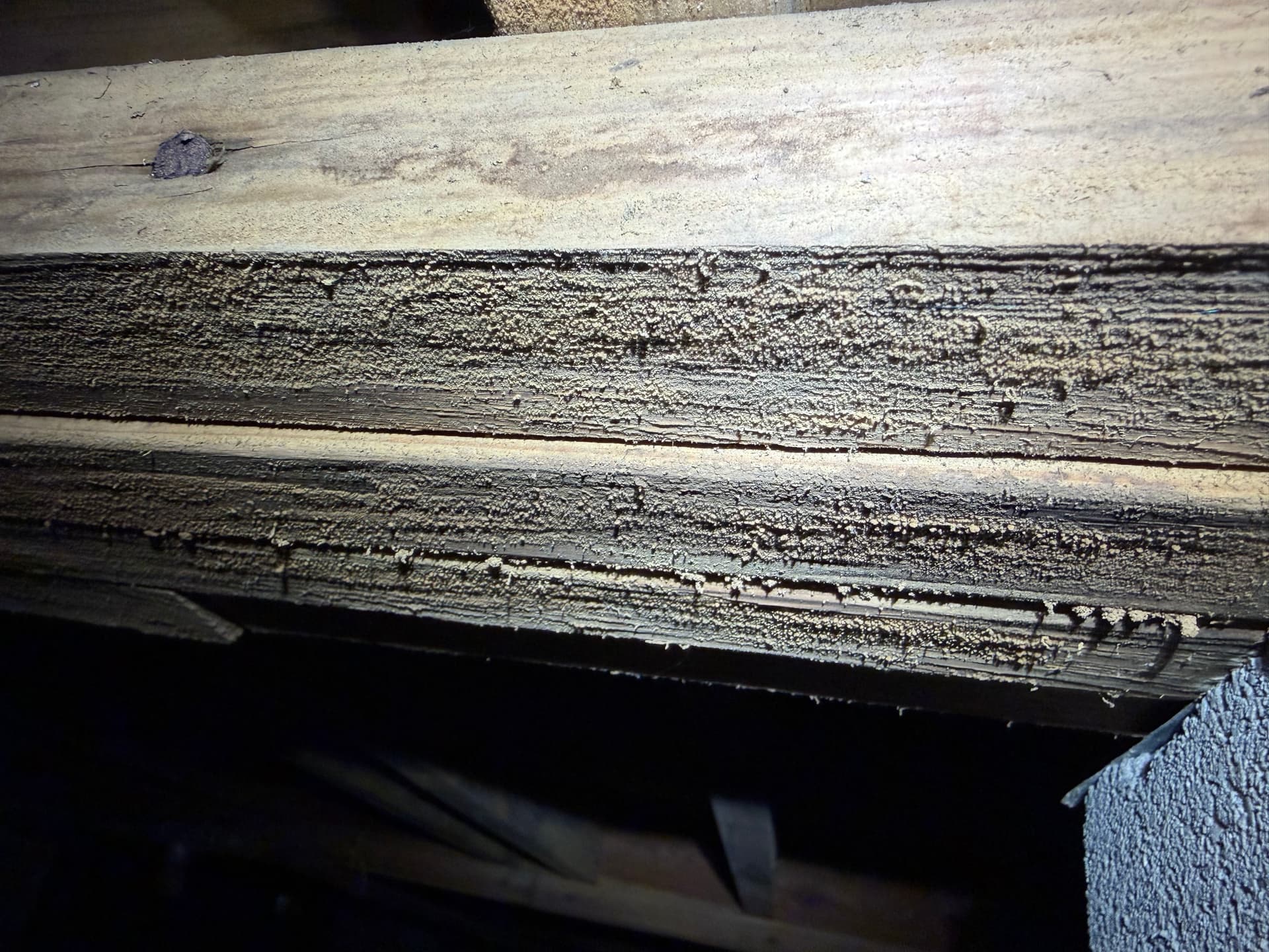 Gallery photos for Milton Home Crawl Space Inspection and Repair: Image #4