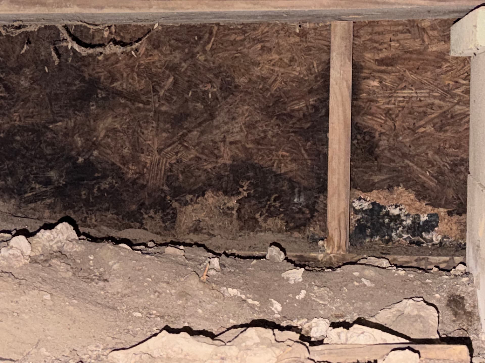 Gallery photos for Inspections Uncover Crawl Space Issues in AL and FL: Image #2
