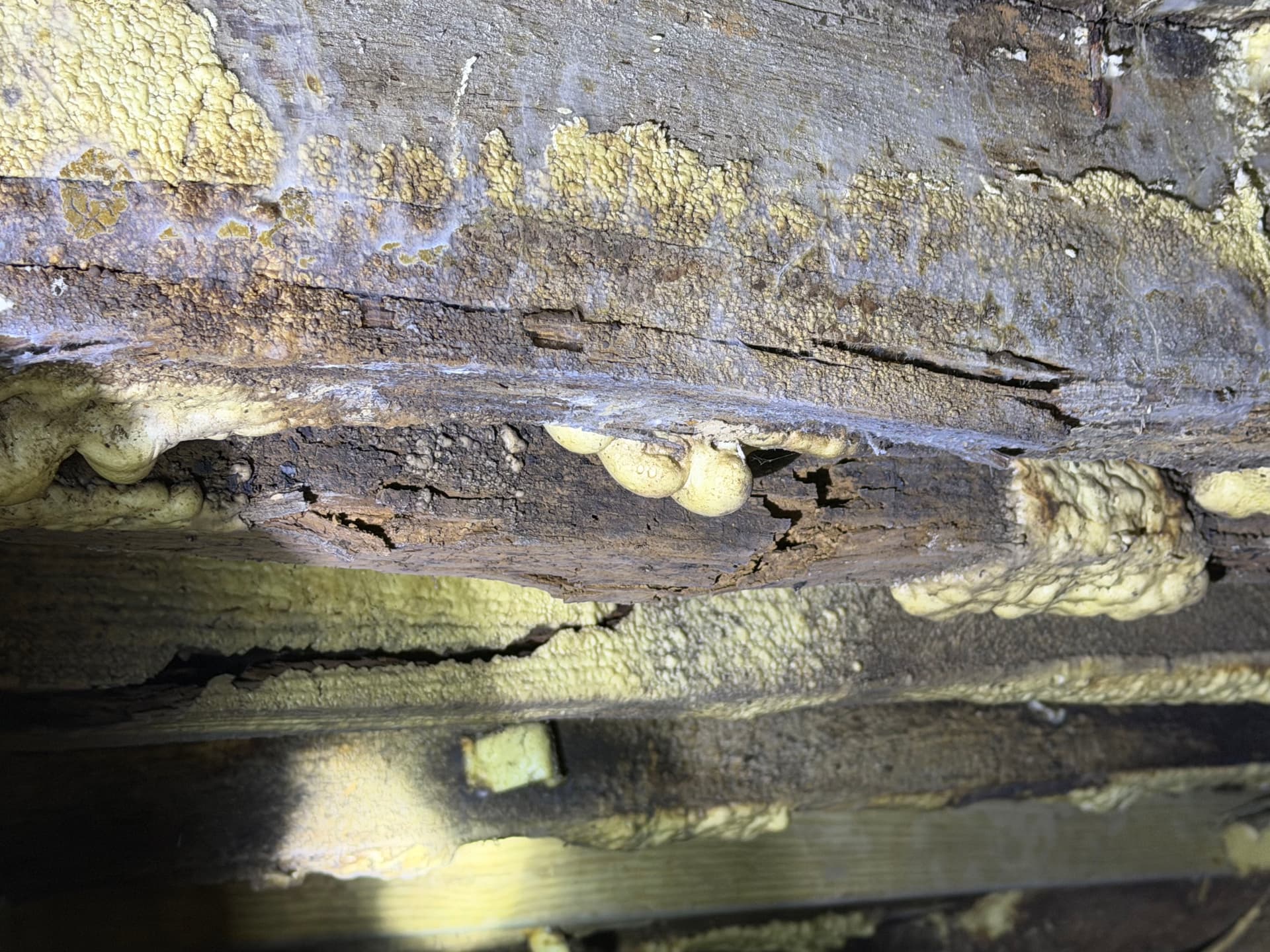 Gallery photos for The Dangers of Improper Crawl Space Insulation: Image #5