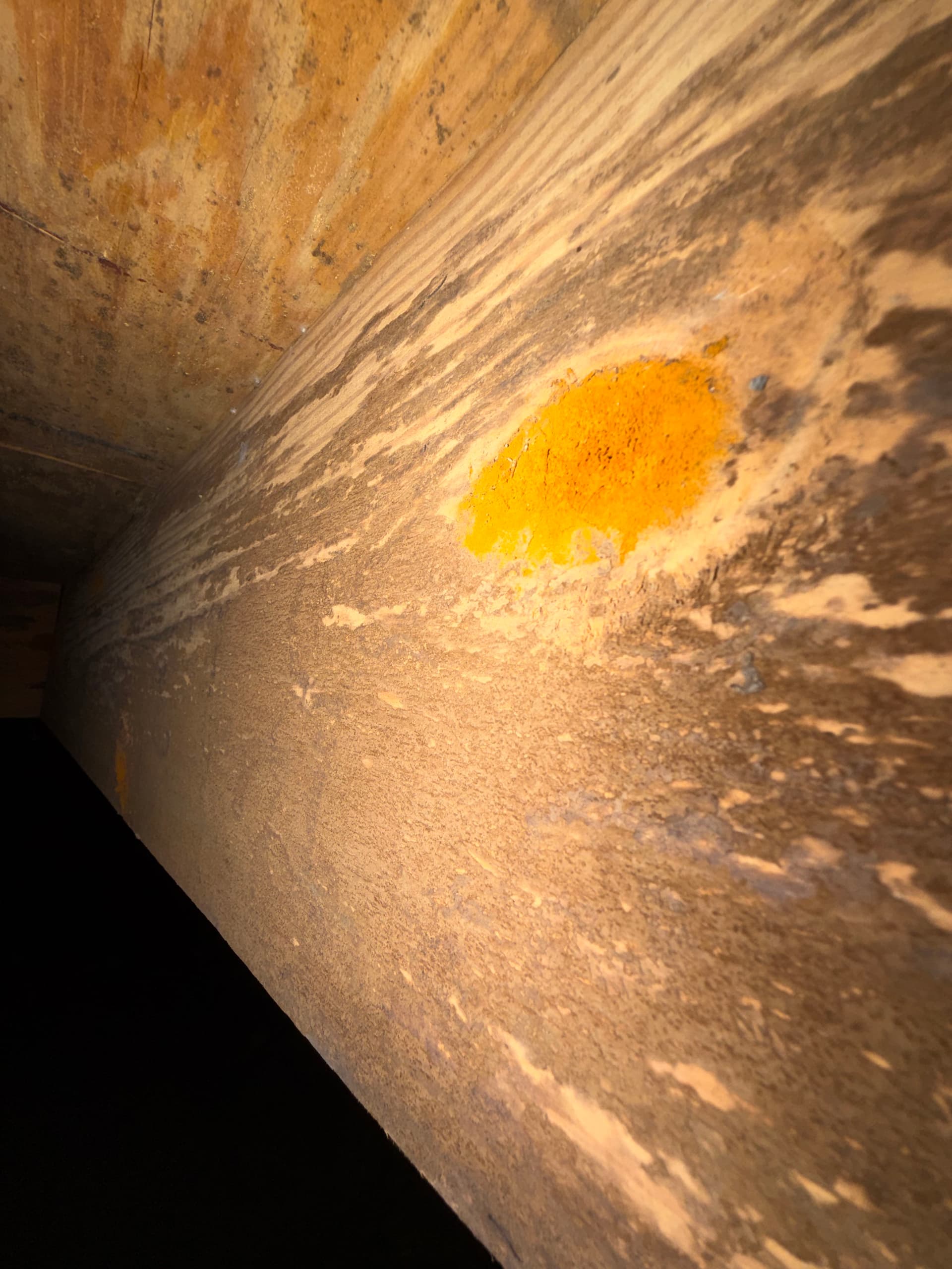 Gallery photos for Inspections Uncover Crawl Space Issues in AL and FL: Image #8